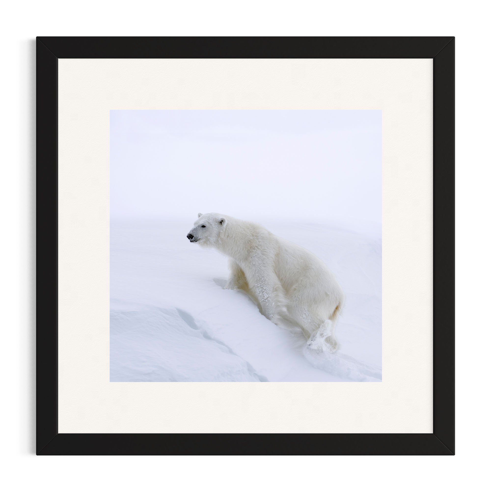 Uphill Battle_black frame.jpg