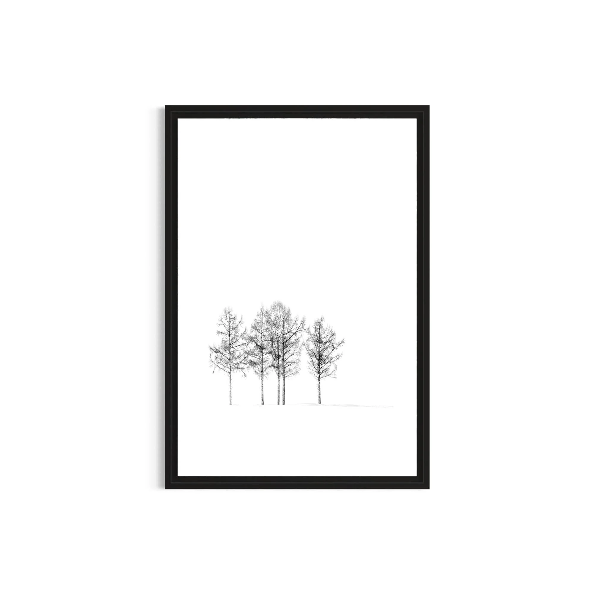 Standing Quiet minimalist landscape photography