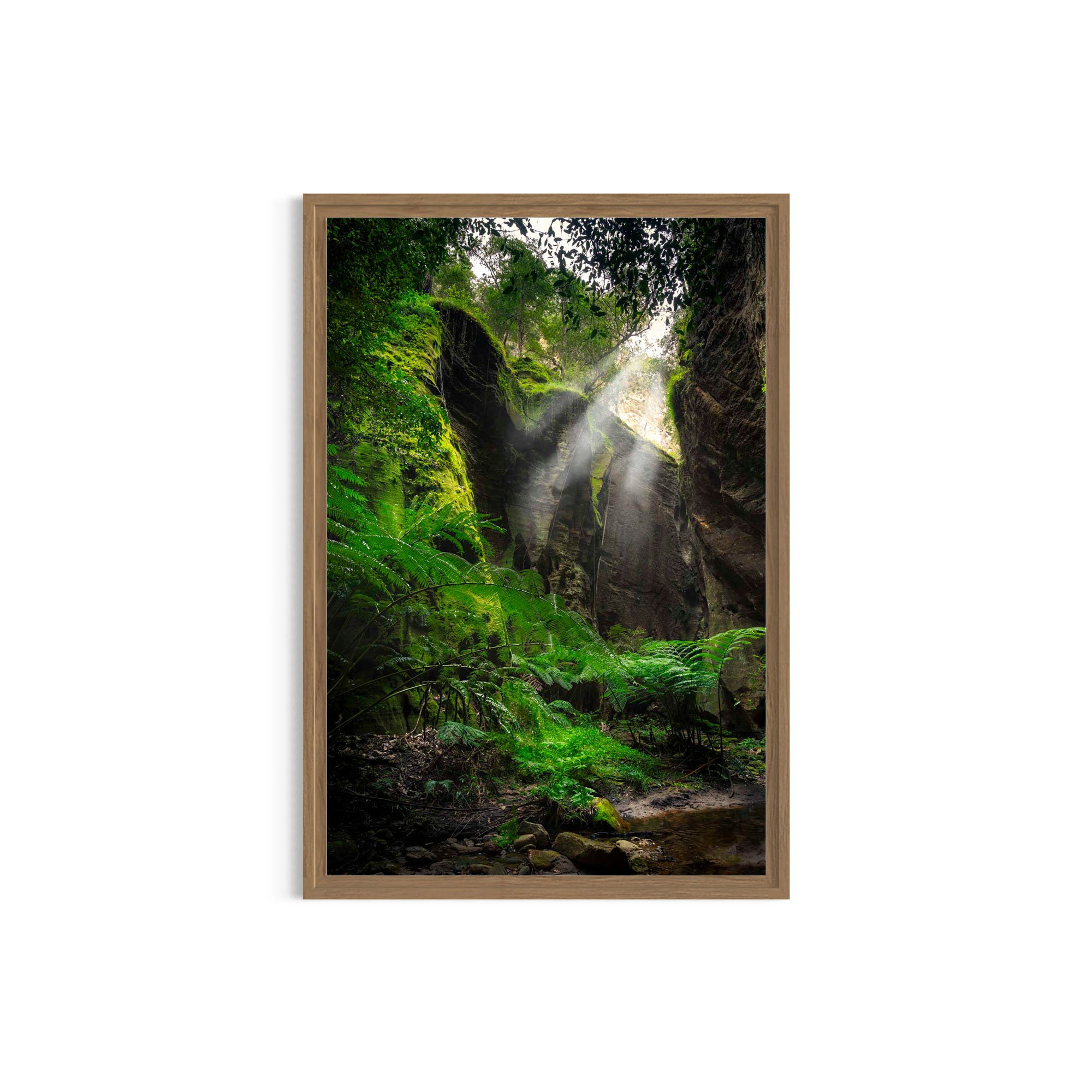 Sanctuary of Light_metal oak frame.jpg