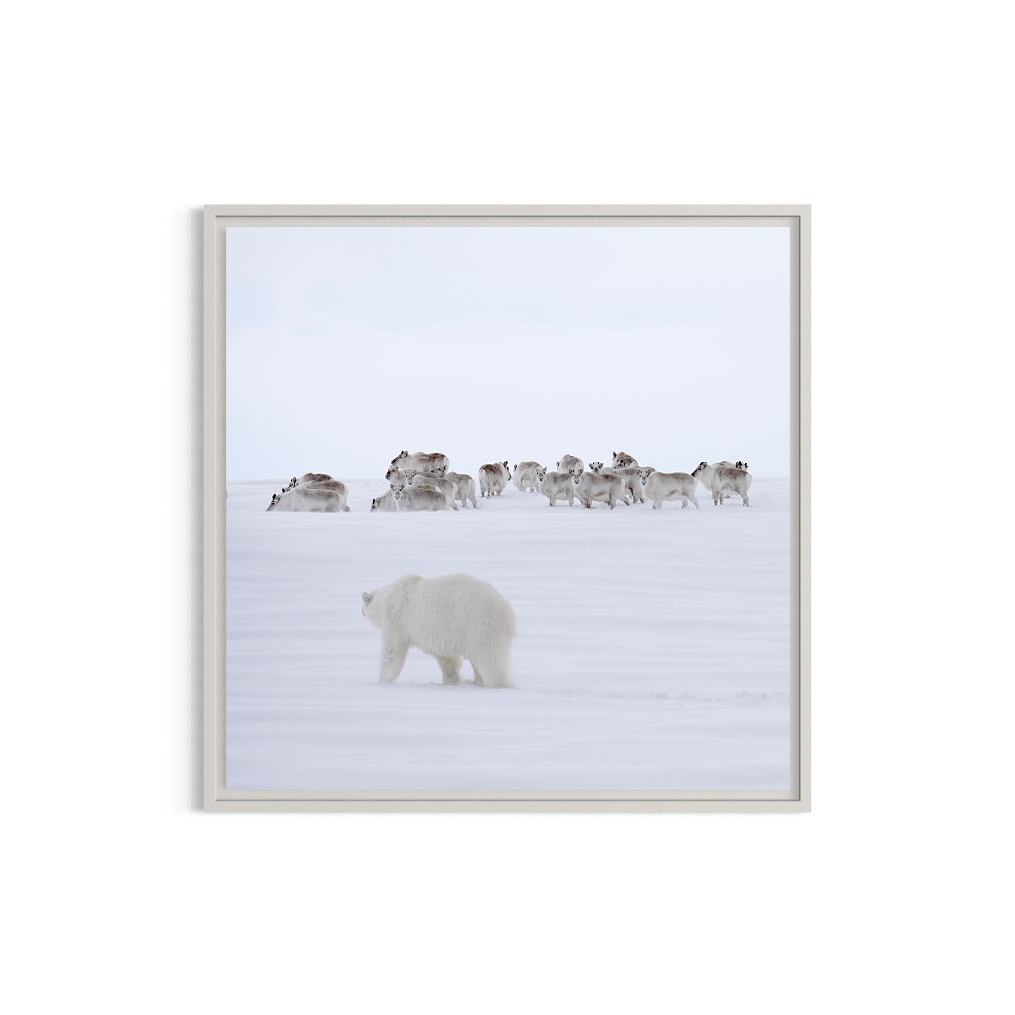 On Thin Ice_metal white frame.jpg
