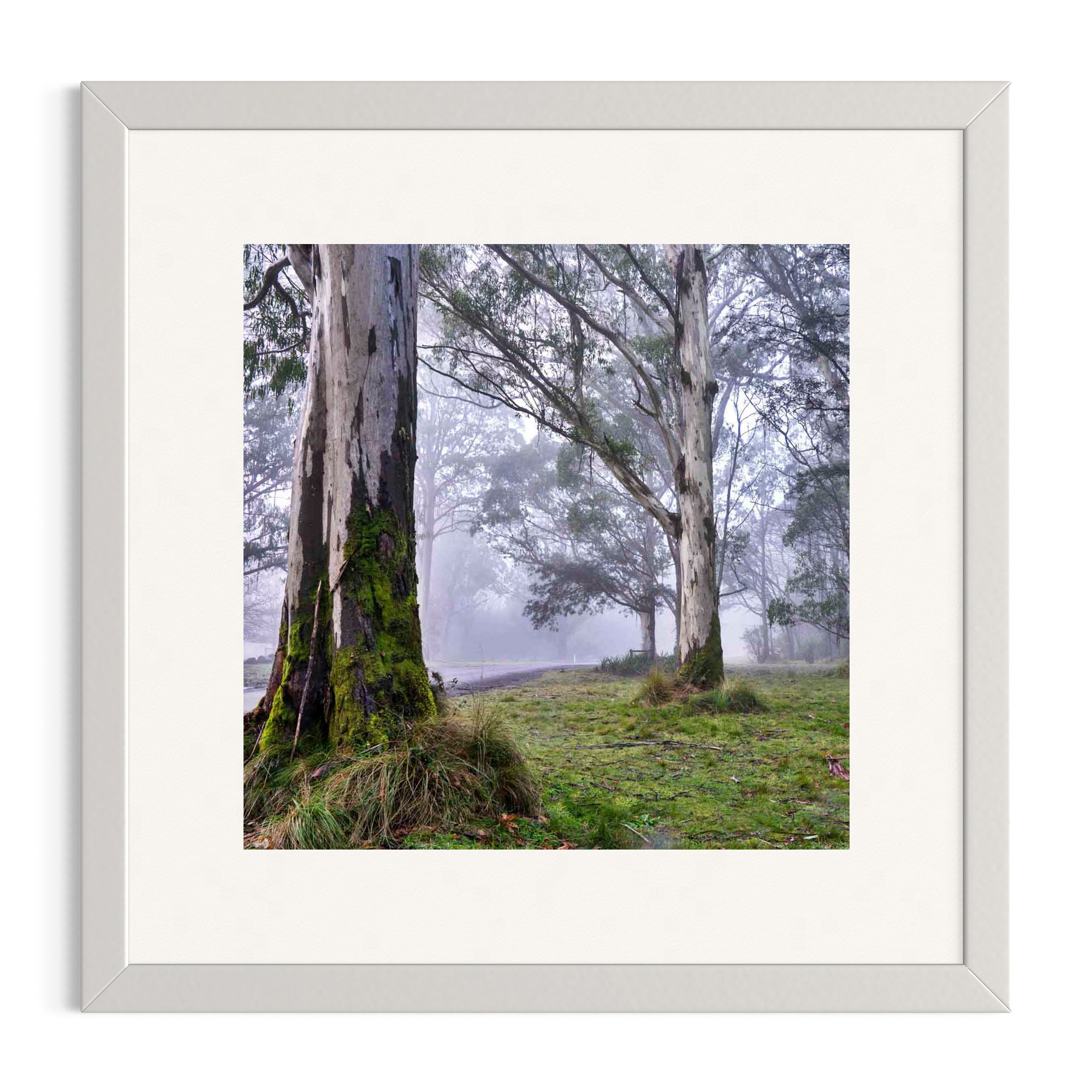 Misty Dawn_white frame.jpg