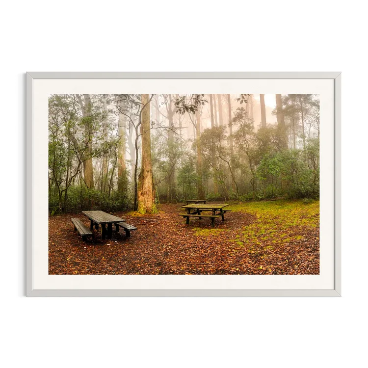 A Place to Breathe in a white frame: misty forest with a picnic table