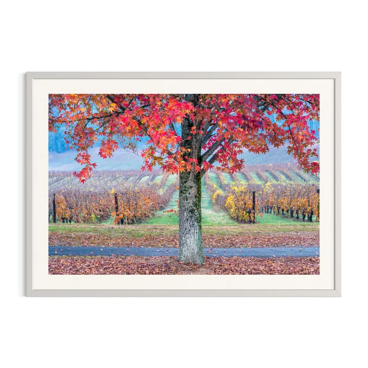 Last Embers of Autumn in a white frame: a red-leafed tree above autumn vines