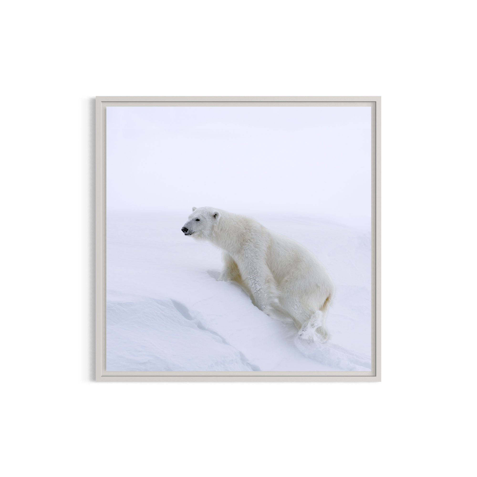 Uphill Battle_metal white frame.jpg
