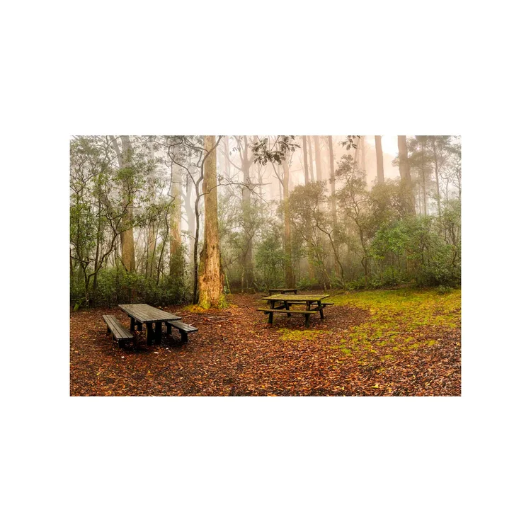A Place to Breathe