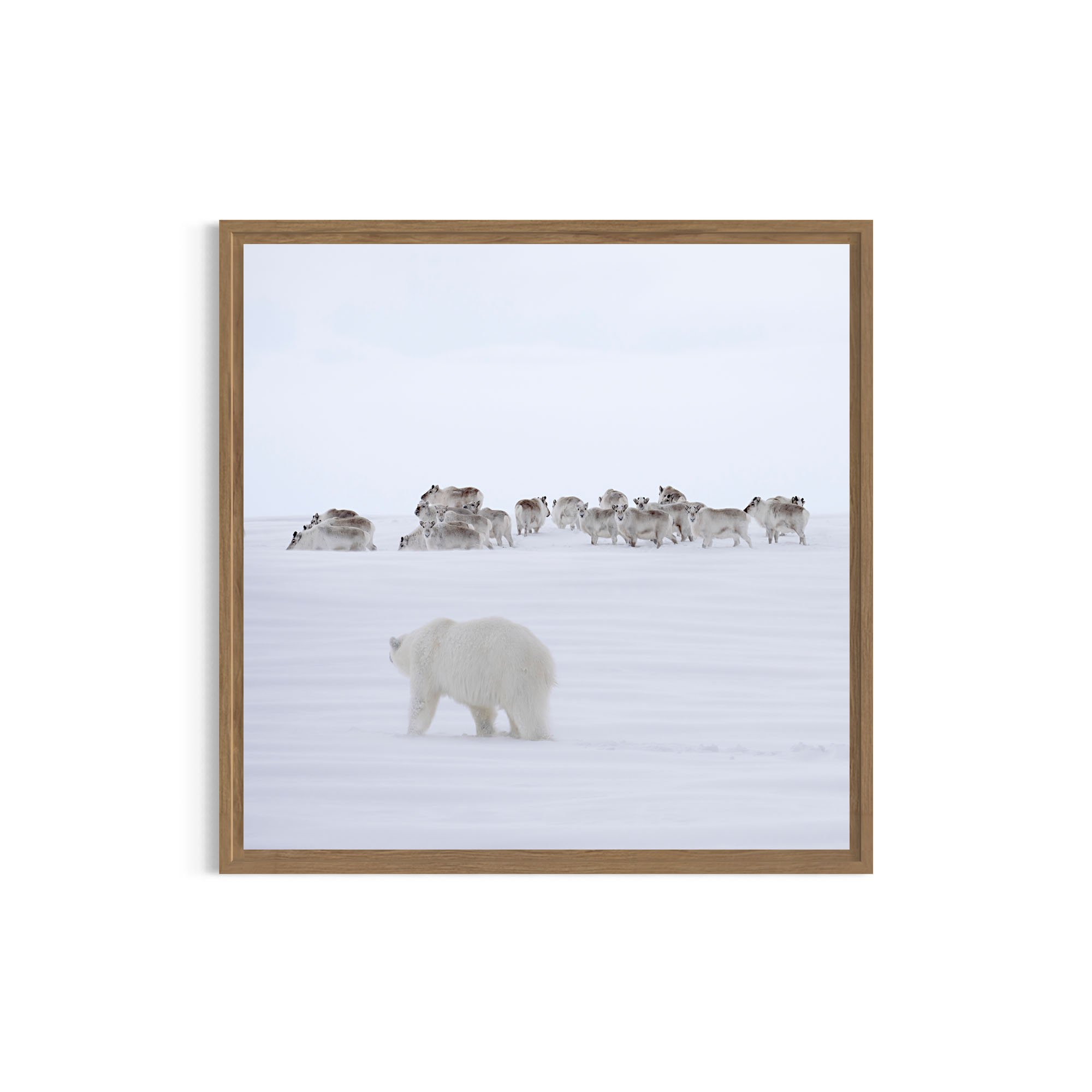 On Thin Ice_metal oak frame.jpg