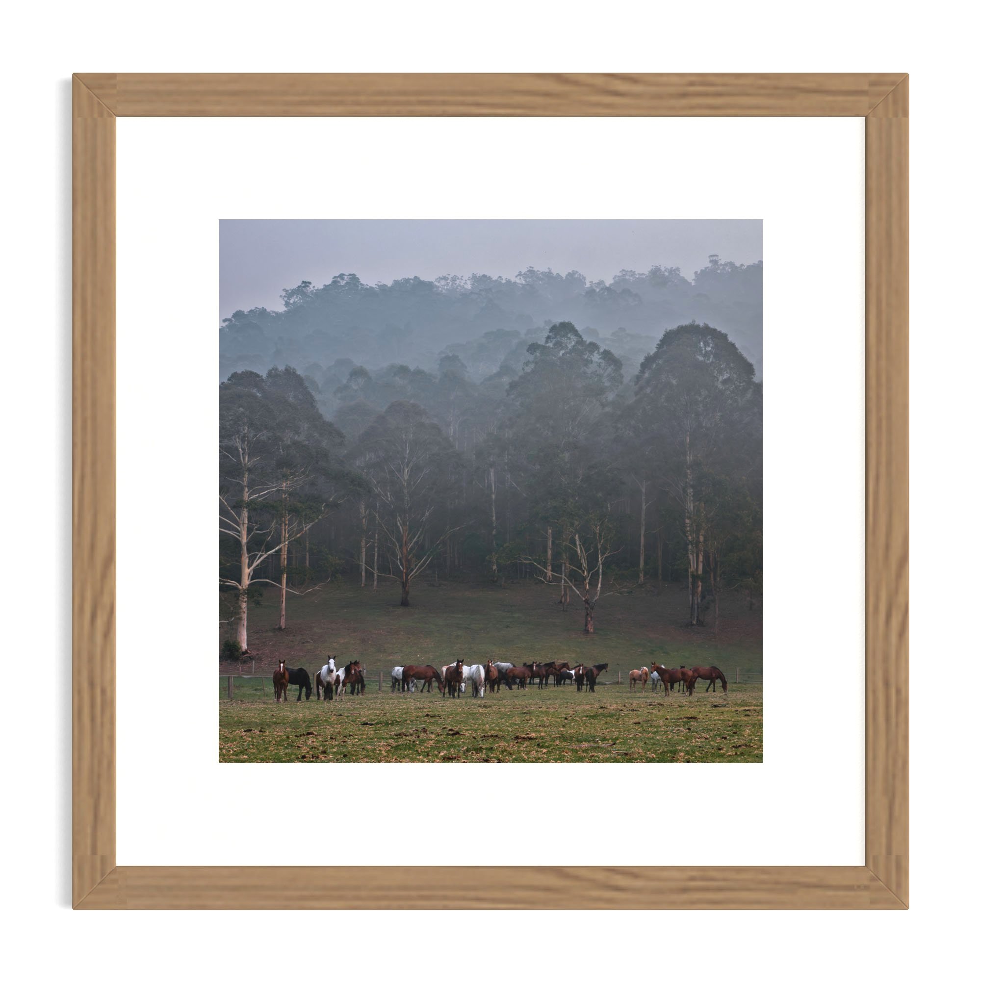Gathering+in+the+Fog_oak+frame.jpg