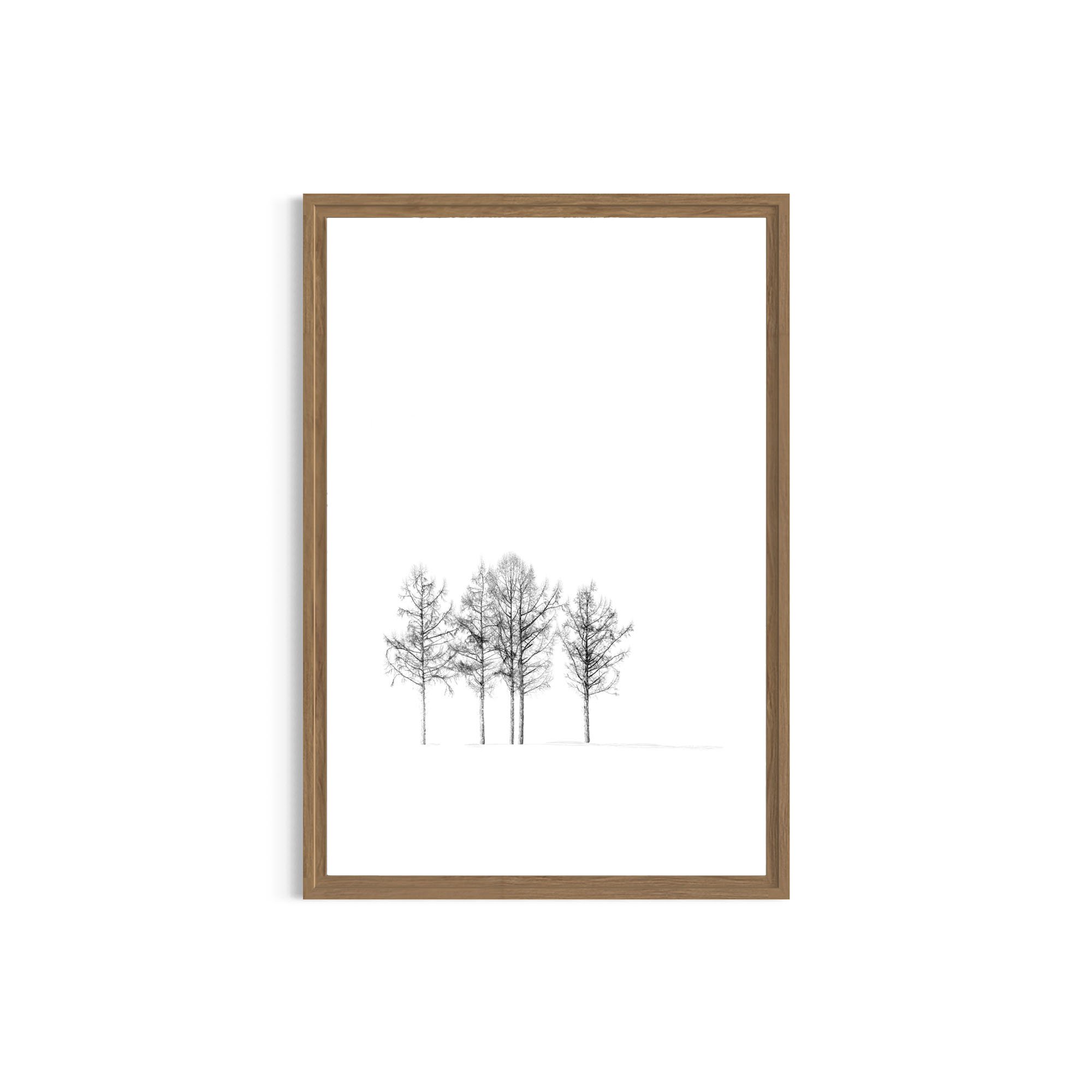 Standing Quiet minimalist landscape photography