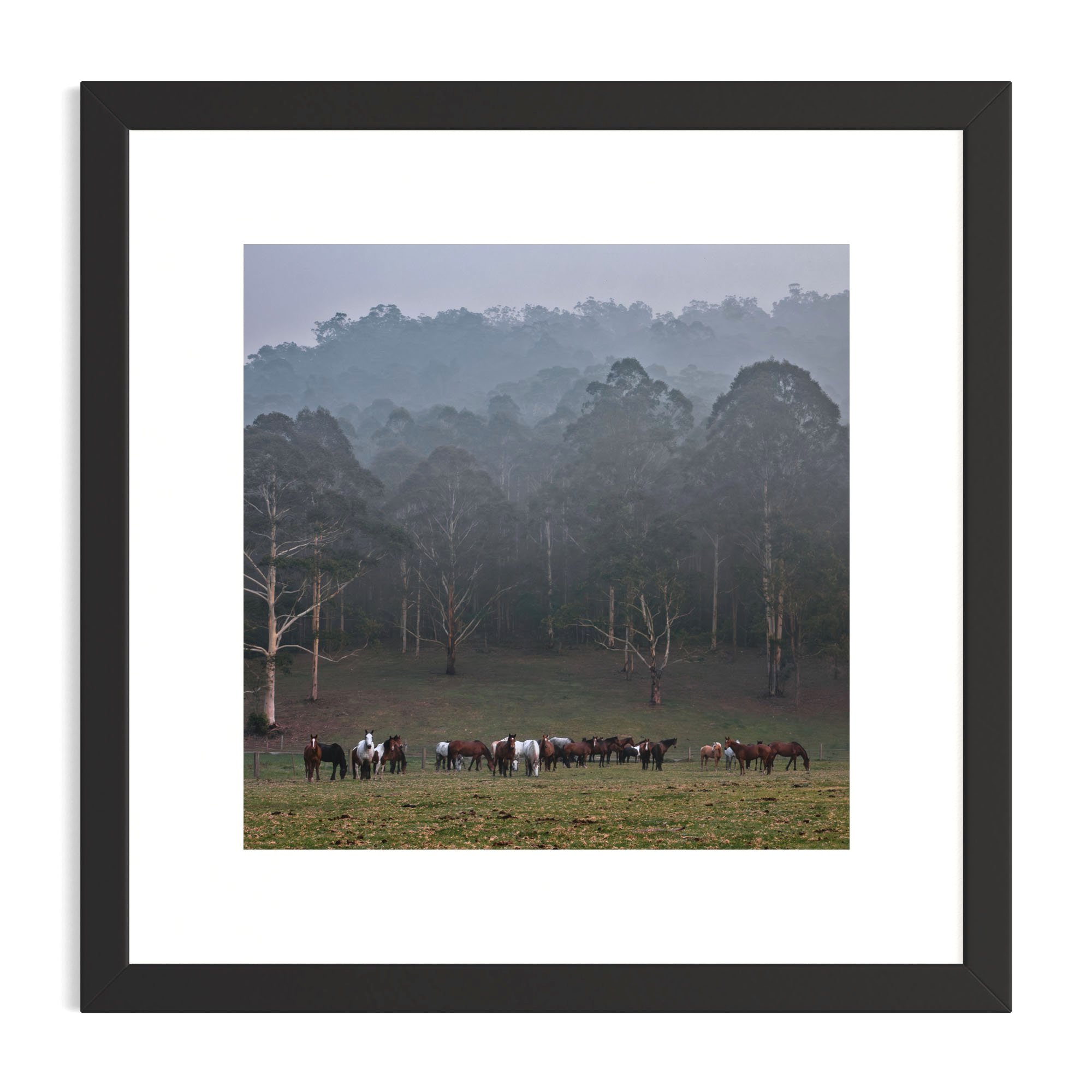 Gathering+in+the+Fog_black+frame.jpg
