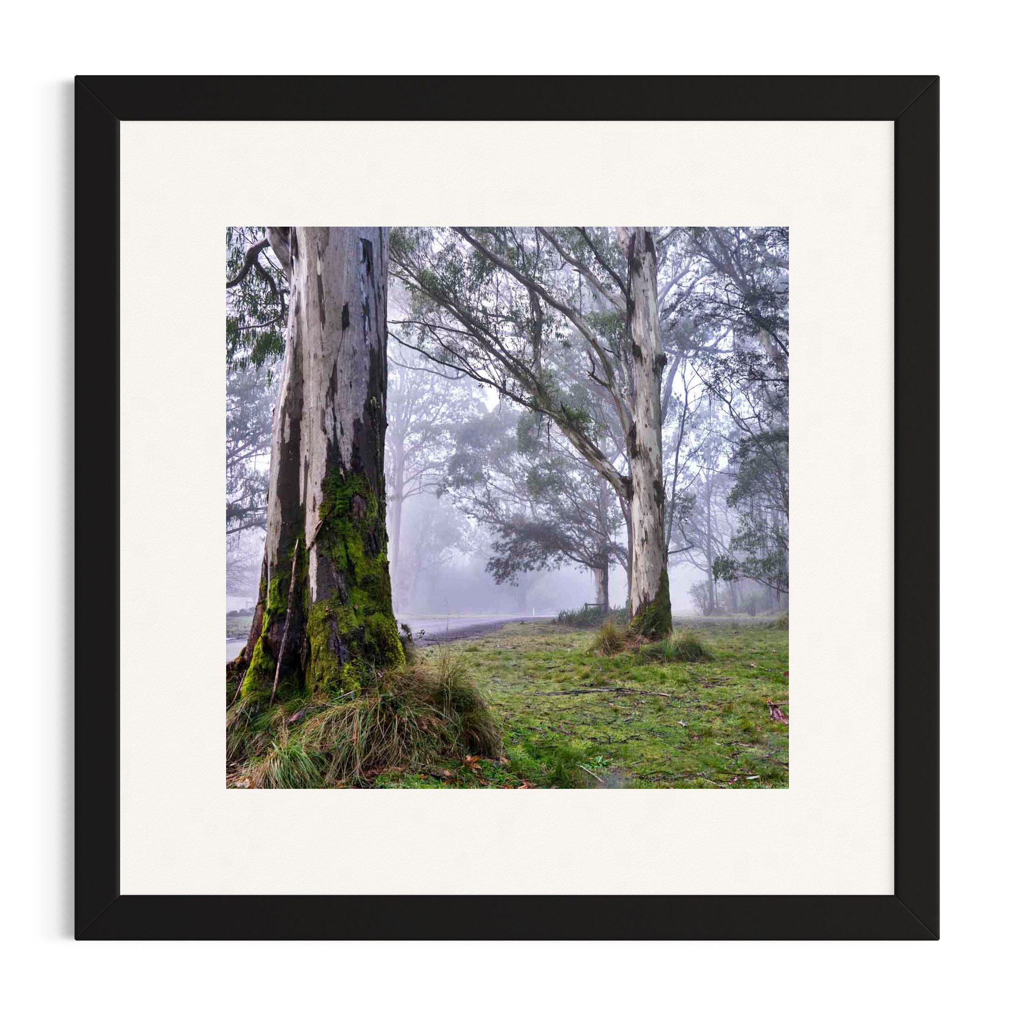 Misty Dawn_black frame.jpg
