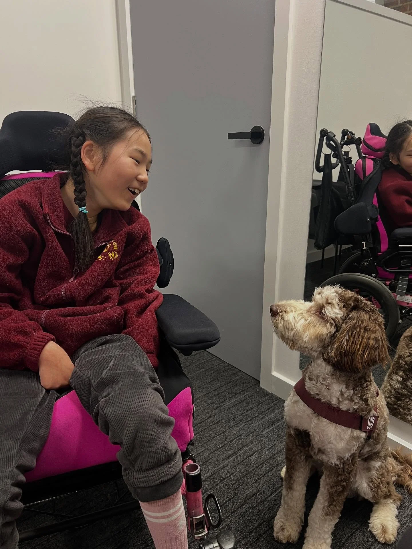Our therapy dog in training Otto always brings the biggest smiles into the clinic 😊

#succeedphysio #NDISphysio #therapydog