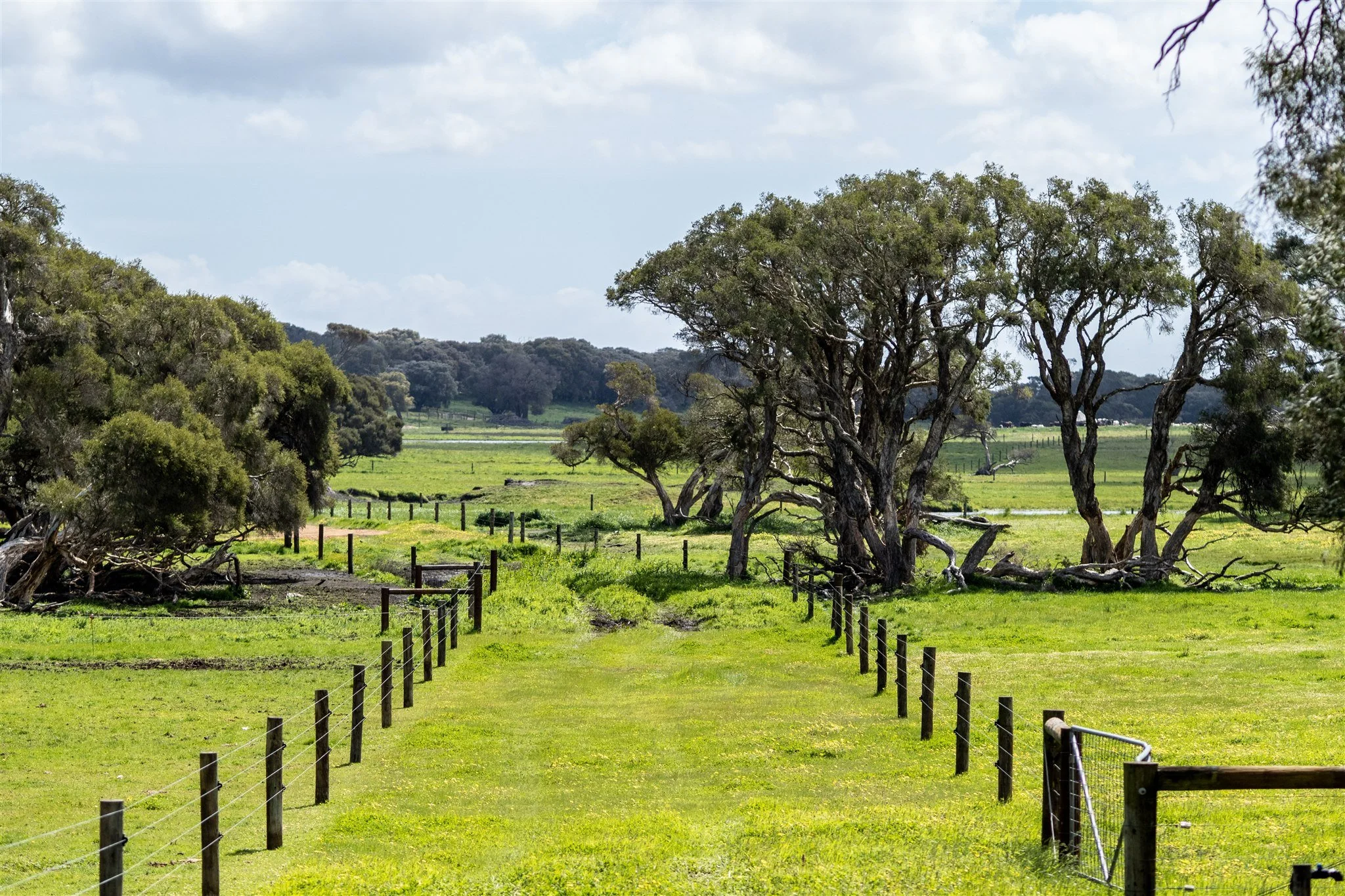 Farmland for Camping