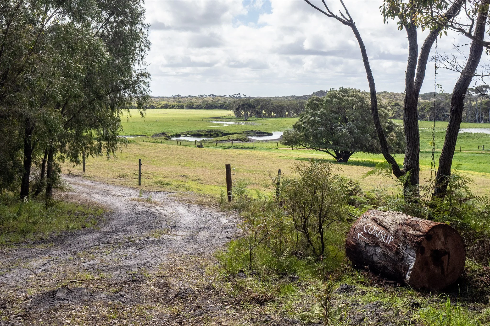 Entry to Cowslip Campground