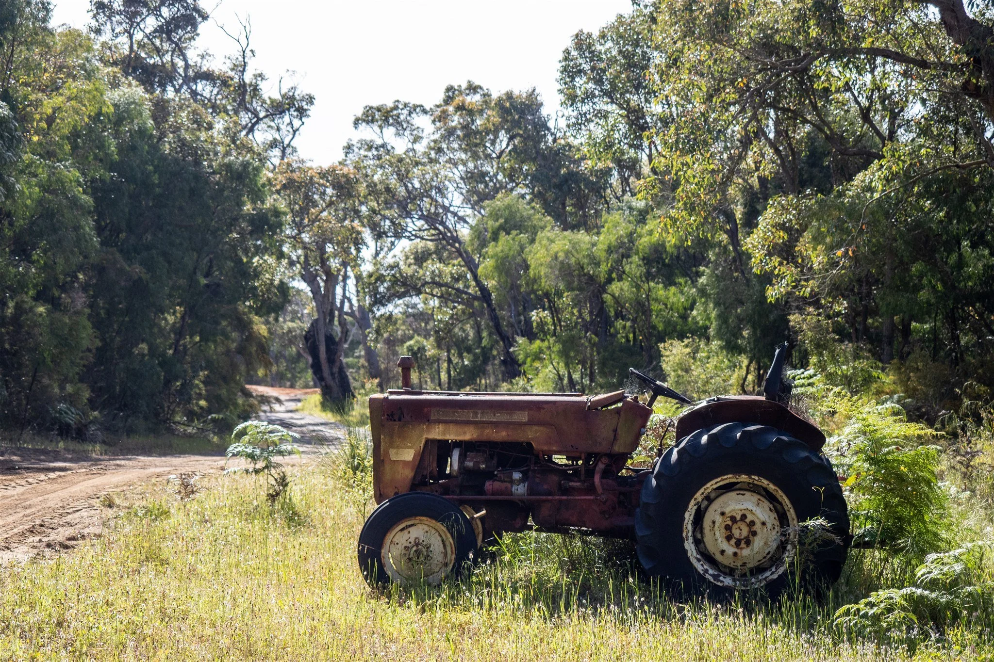 Vintage Tractor