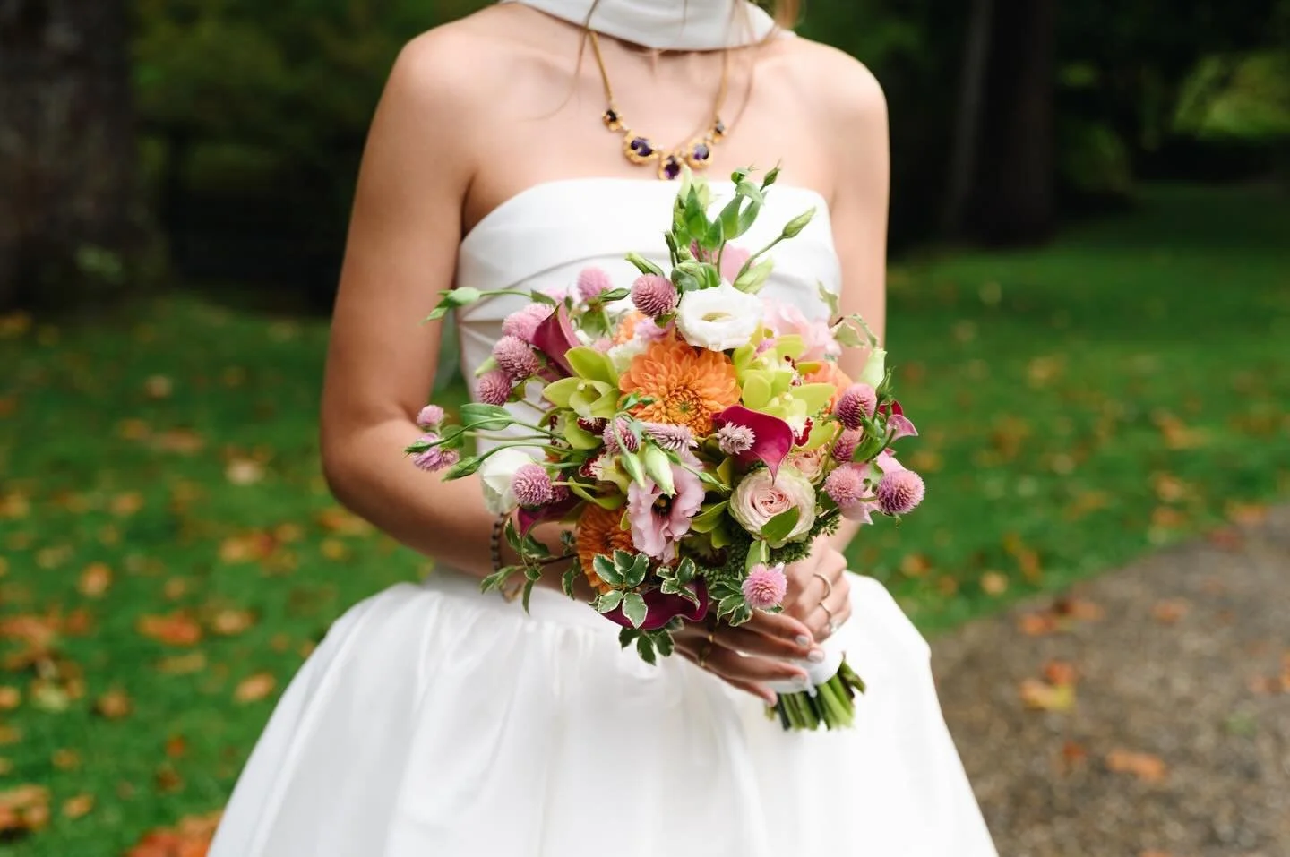 February is equal parts website revamp and tax season prep and gear repairs and counting the days to Spring. Oh, and calling my reps. 

Here are a few 2025 photos I love now that are now on my website, which I'll be updating all month. I can't wait t