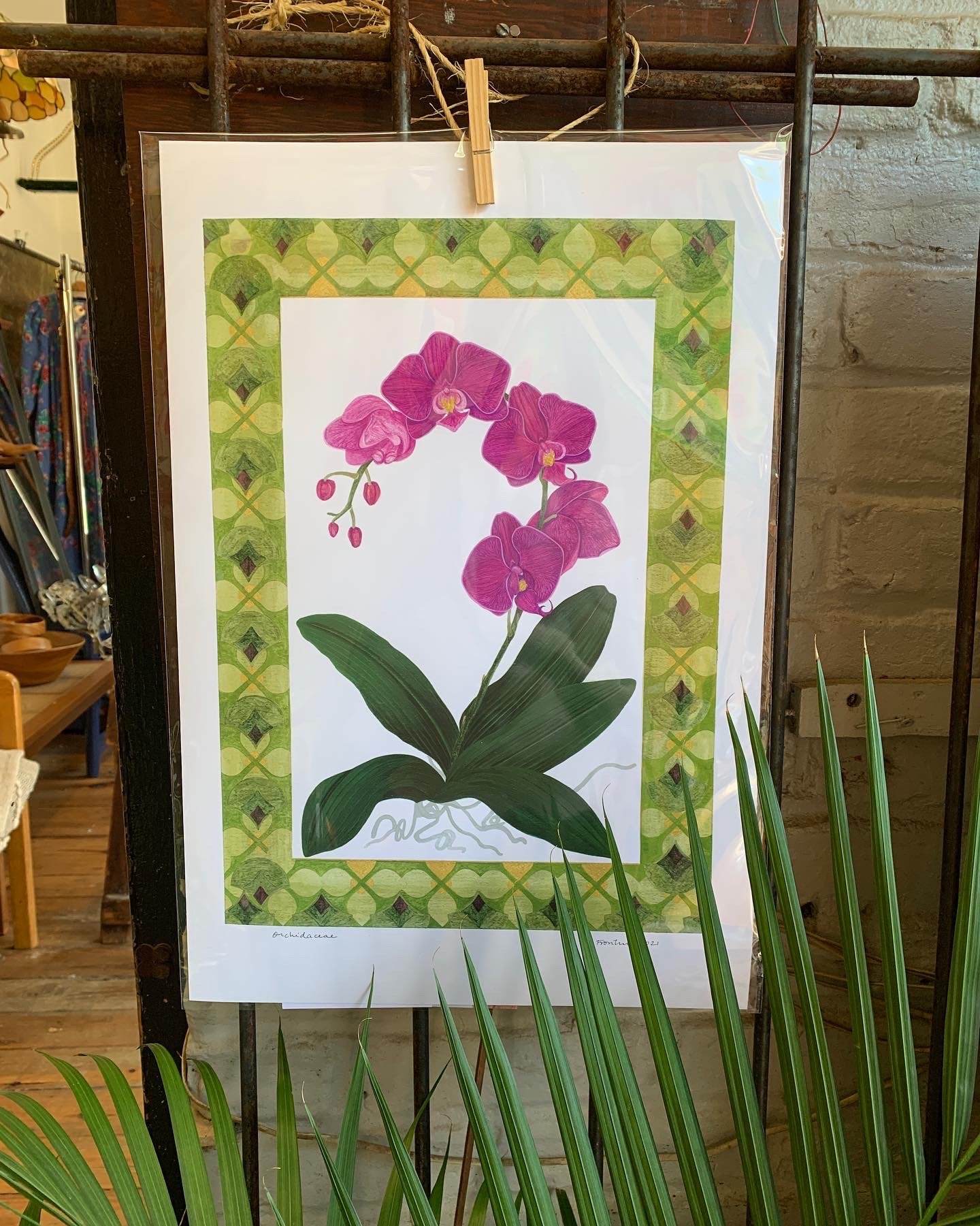 Orchid botanical print