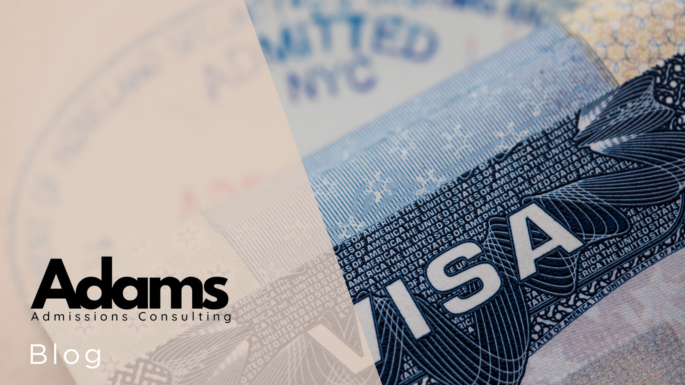 The Chilling Effect: Deportations of International Students and the Future of U.S. Higher Education