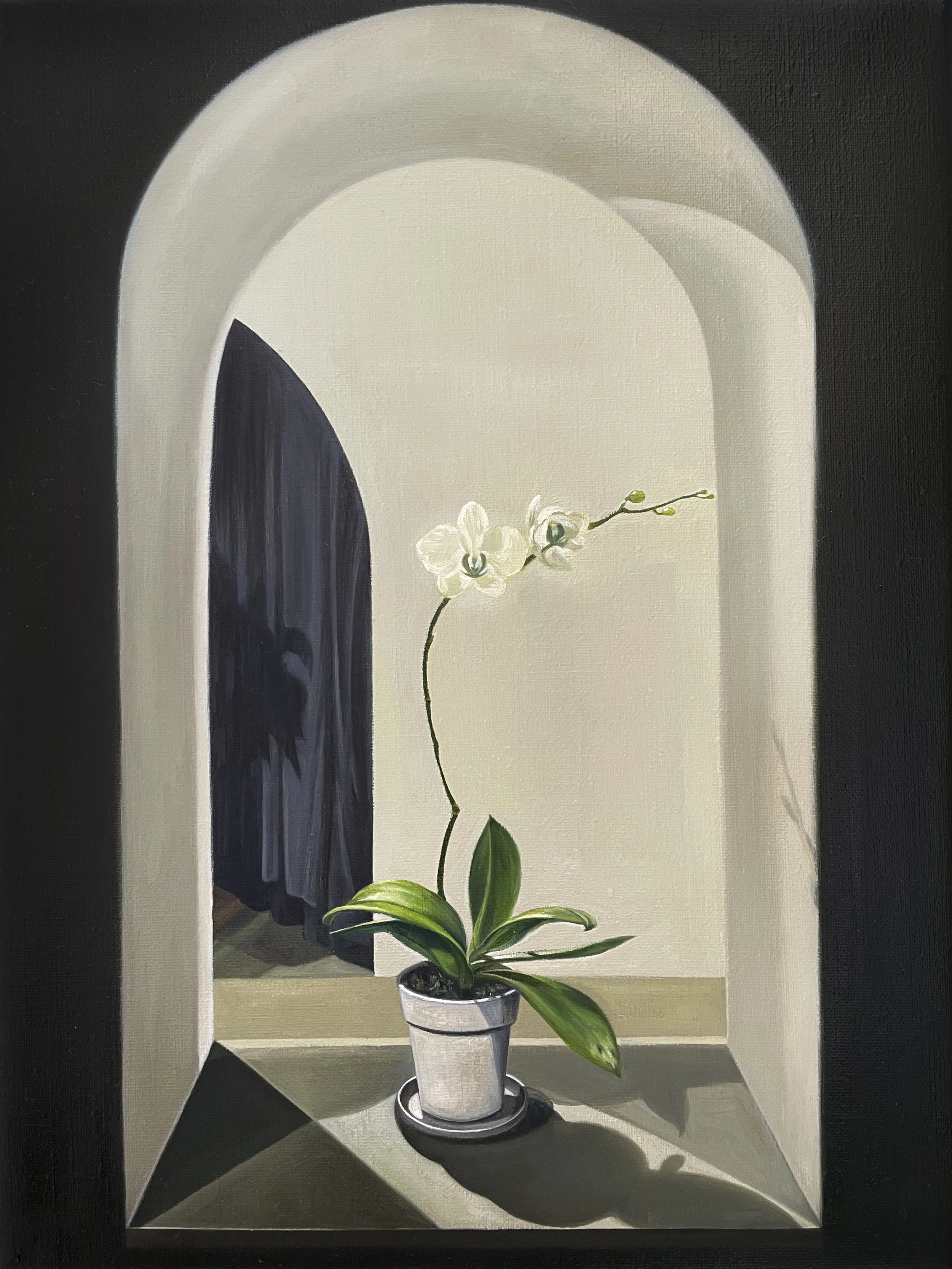 Isabella, oil on linen, 12''x 16''