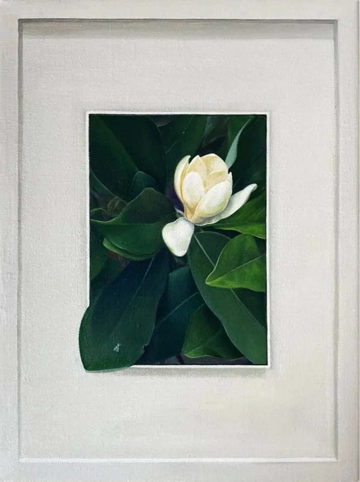 Magnolia, oil on linen, 9''x 12''