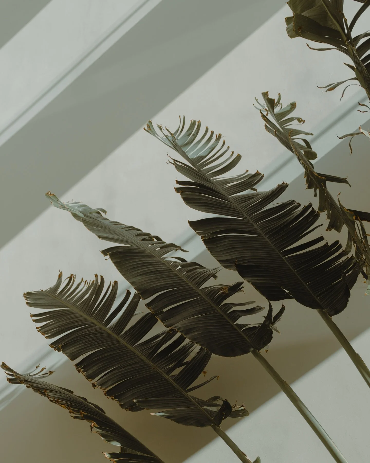 surviving the Canadian winters is leaving it even if it&rsquo;s just for a little bit. A much needed week of r&amp;r 😌