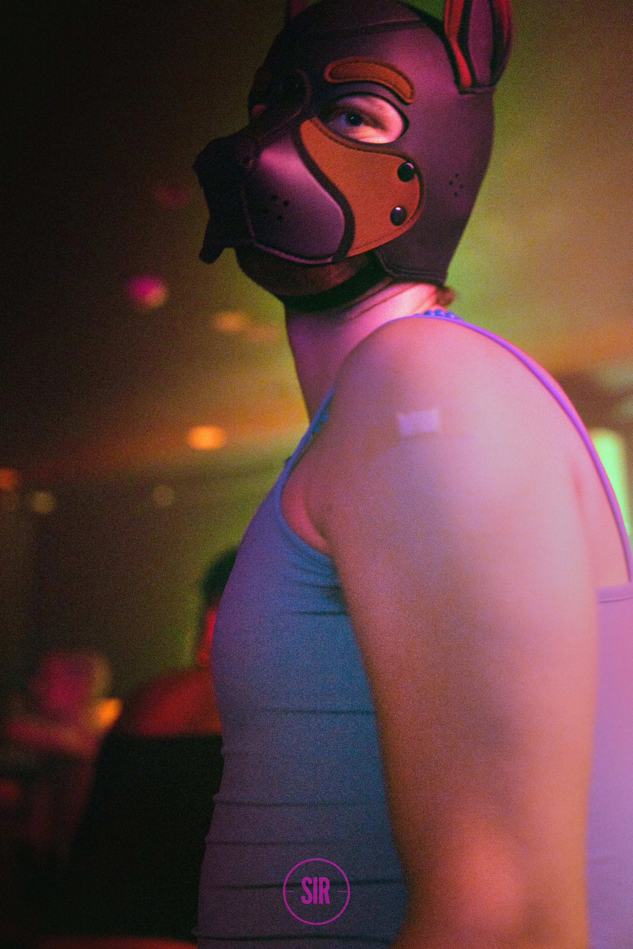 SIR- PopUp - MAR  -2026-11011.jpg