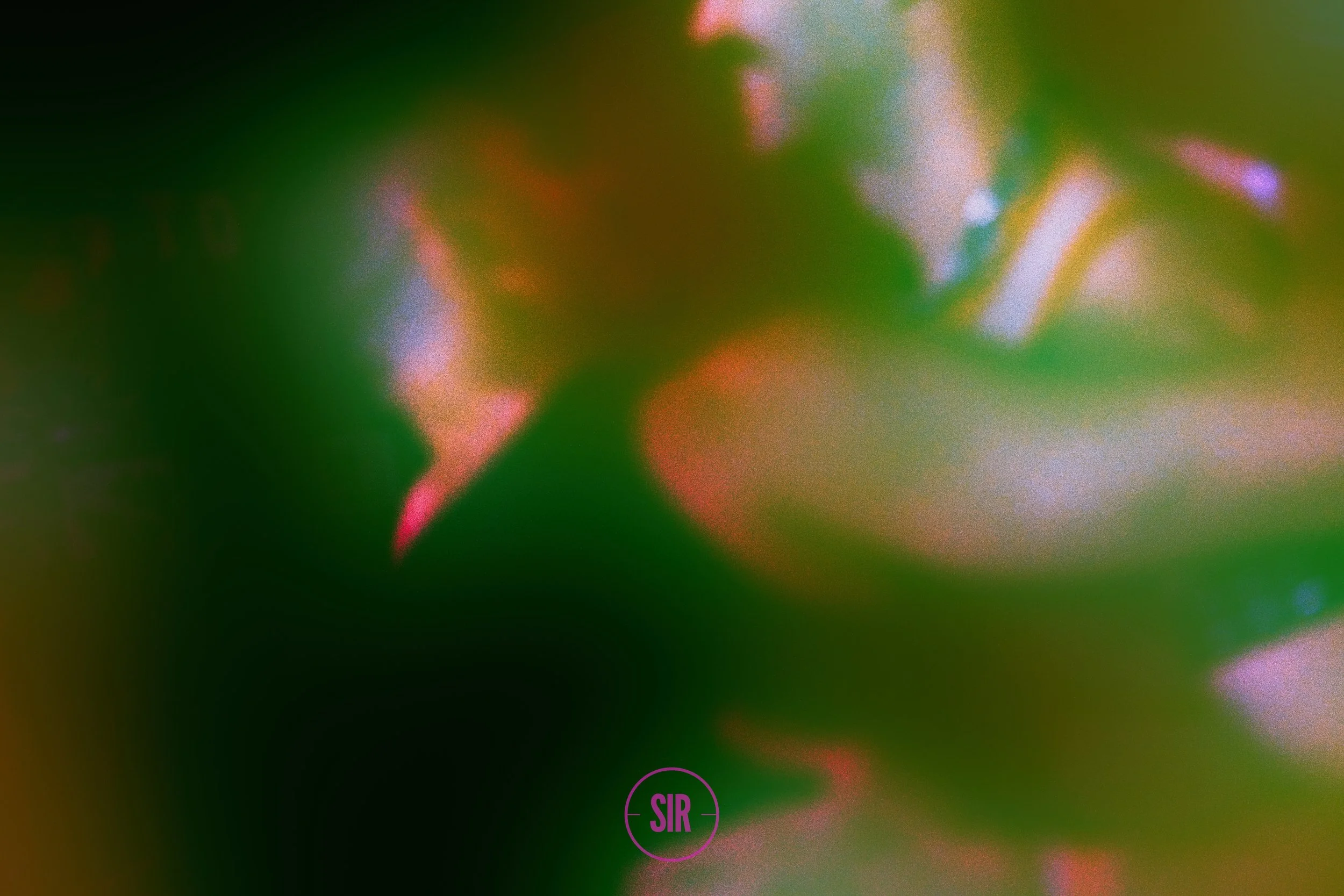 SIR- PopUp - MAR  -2026-10010.jpg