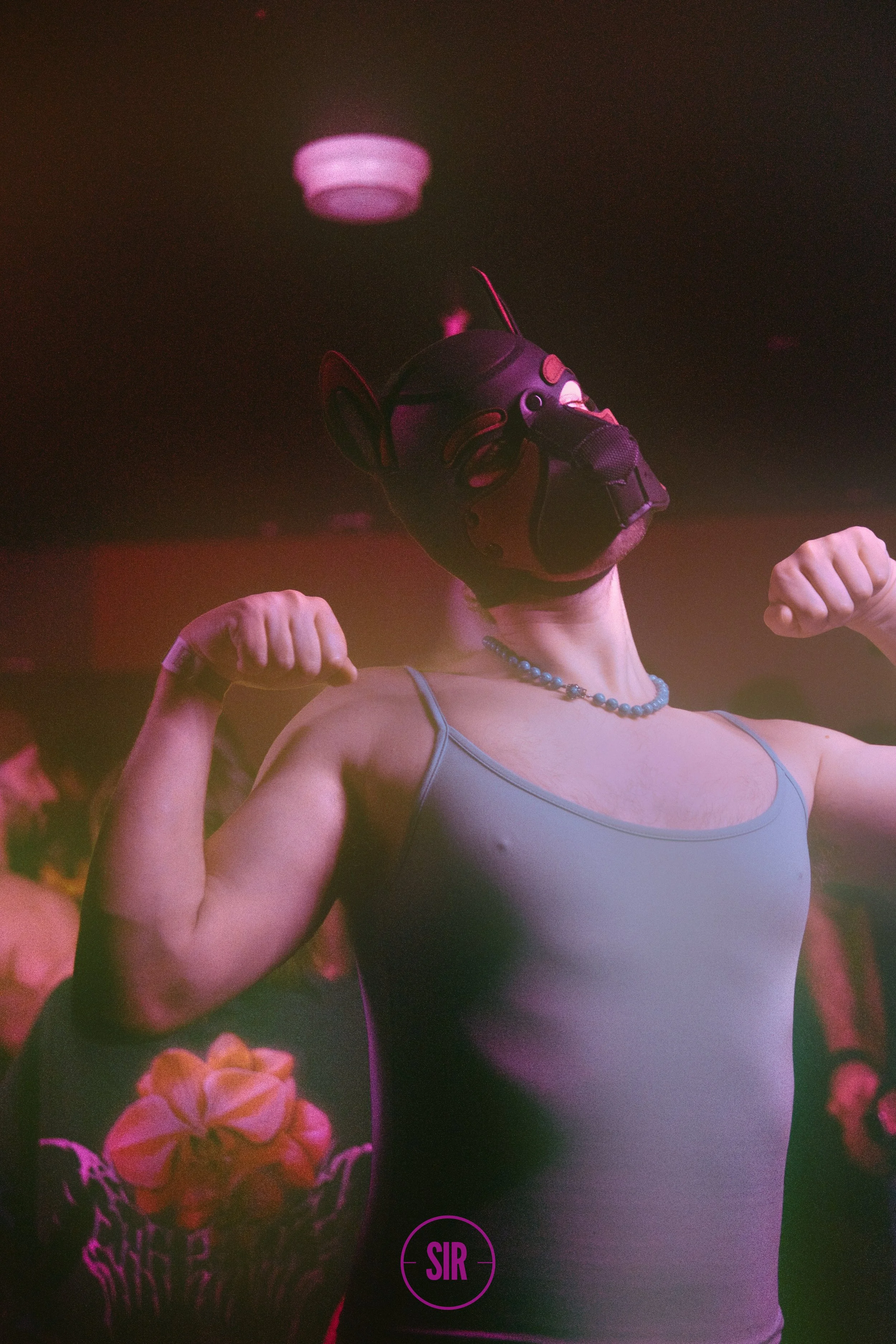 SIR- PopUp - MAR  -2026-63063.jpg