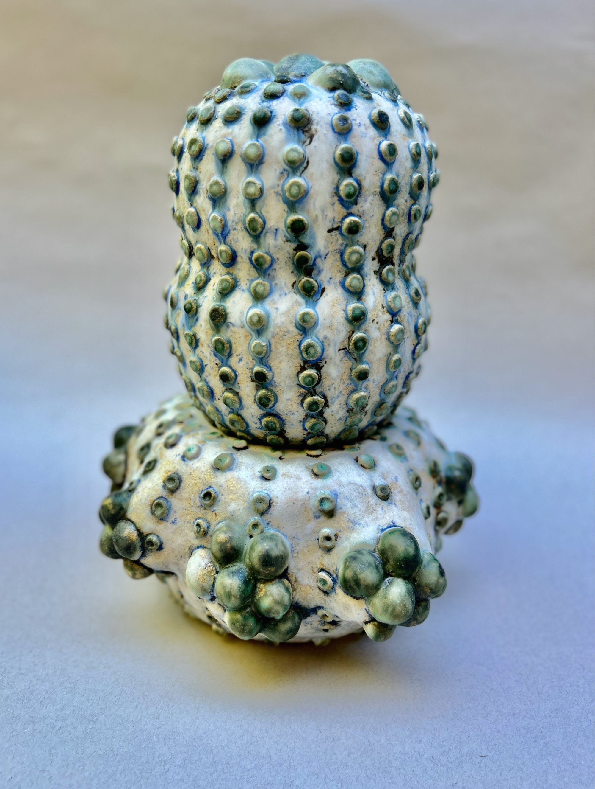 Cacti, ceramic, 15x12x13, 2024