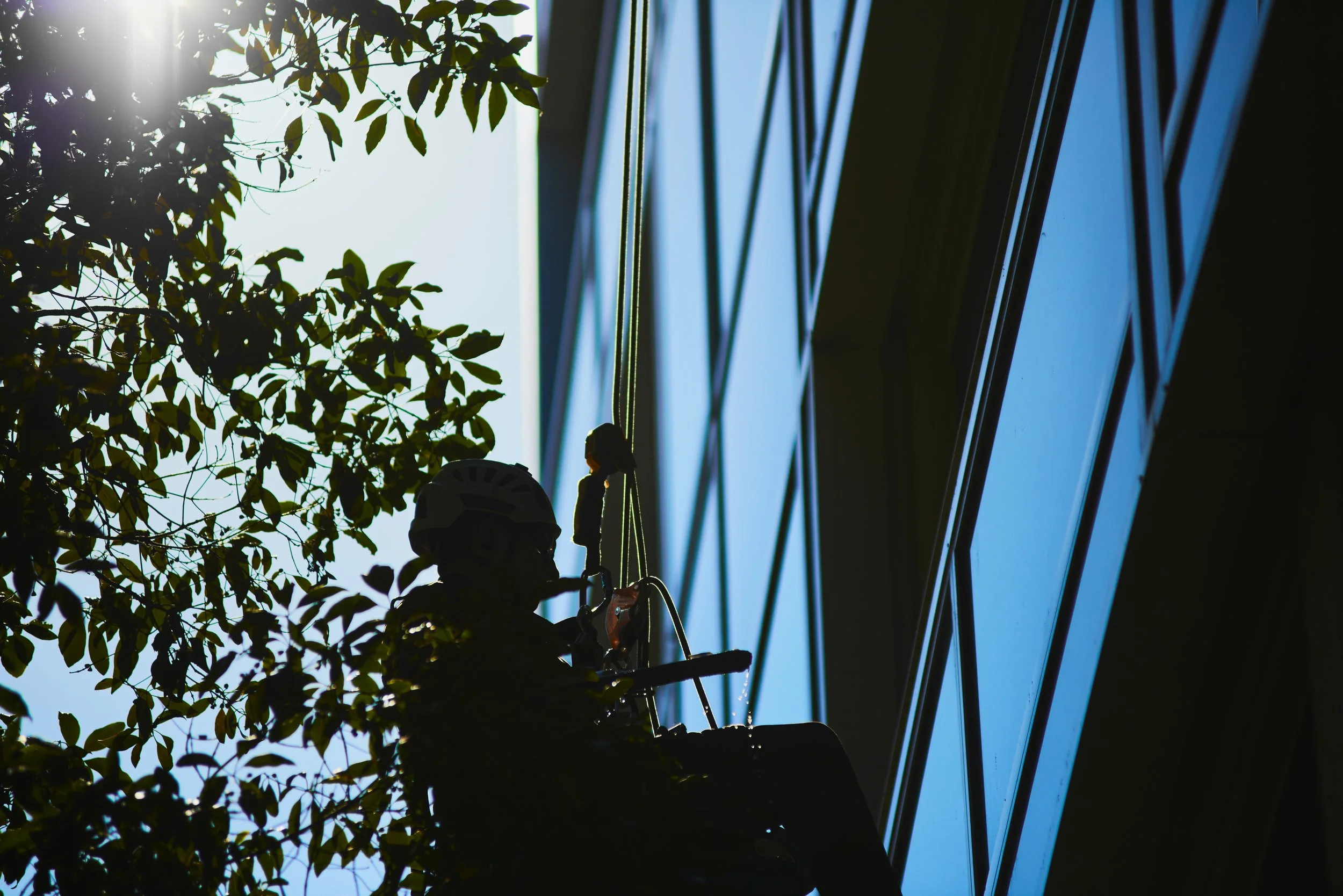 _DSC6160_Freel_19.08.2026.jpeg