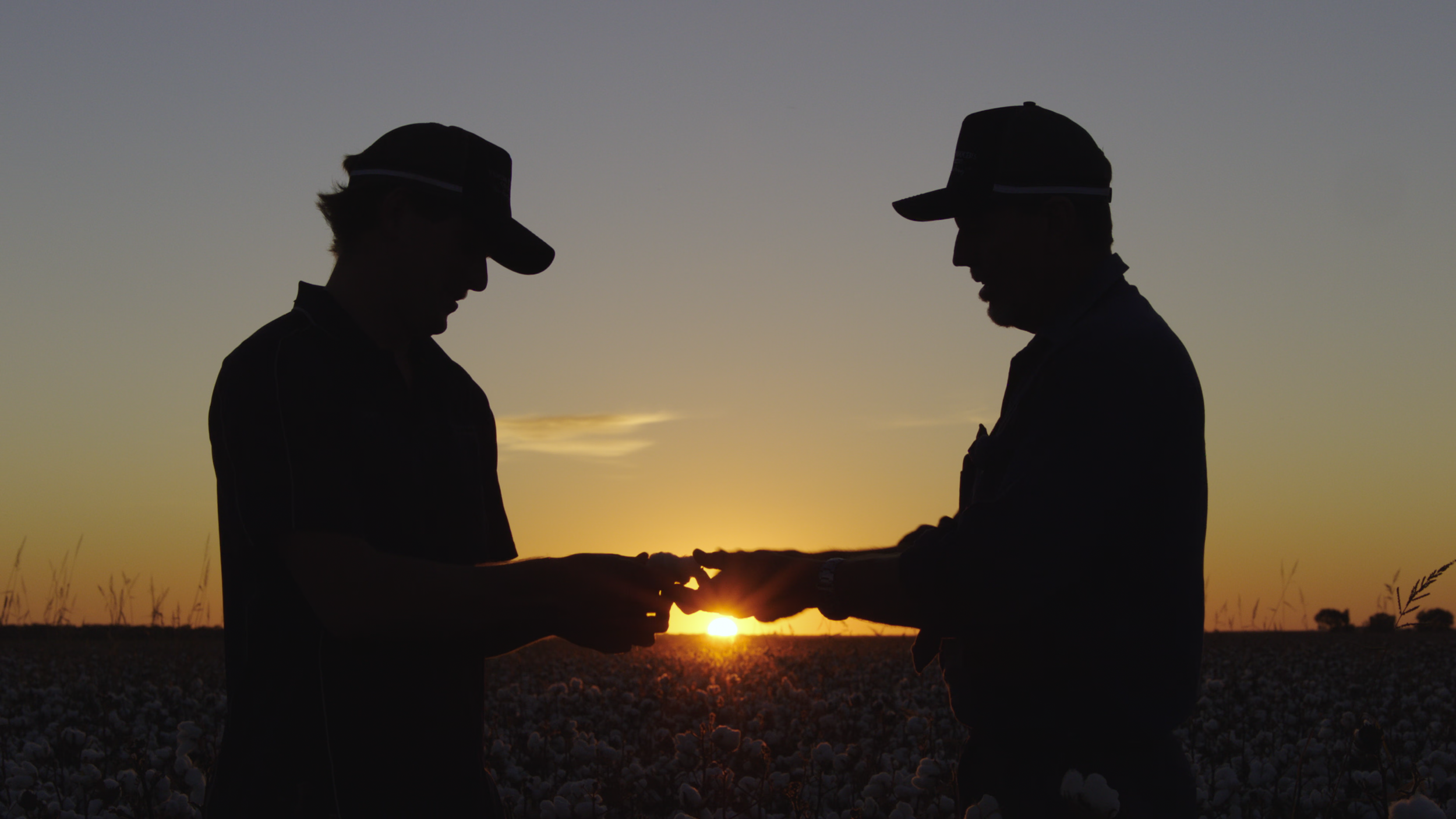 Yenda Producers 100-Years