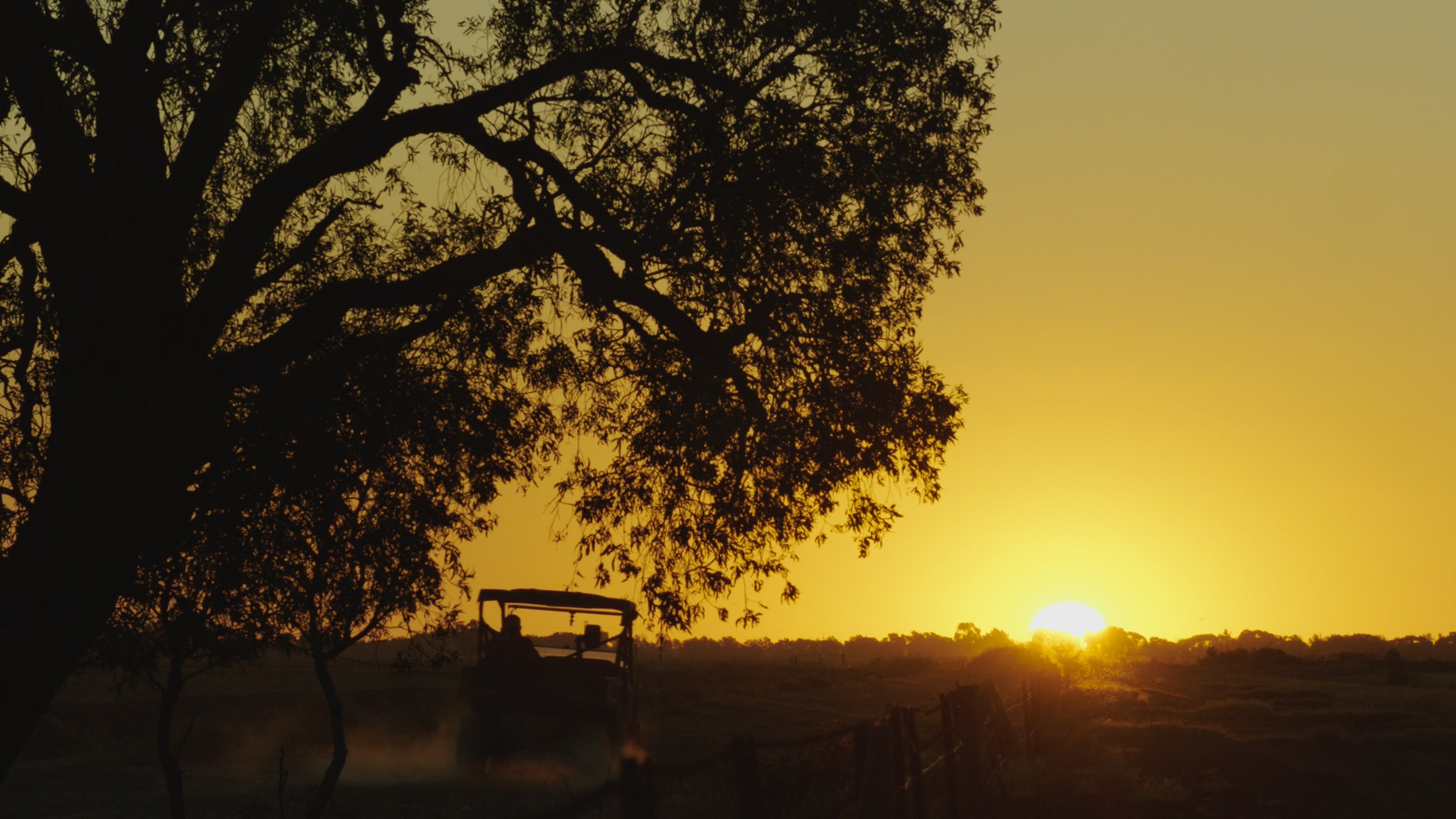 Yenda Producers '100 Years'