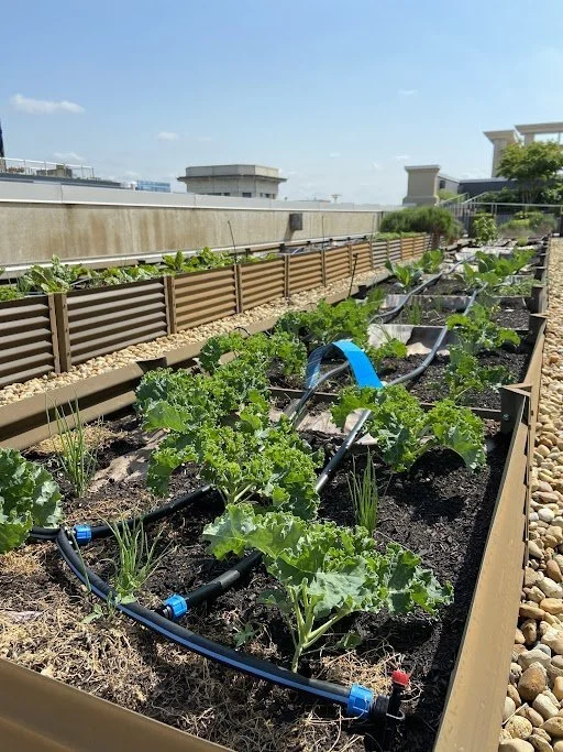 Victor Spring 2023 .jpeg