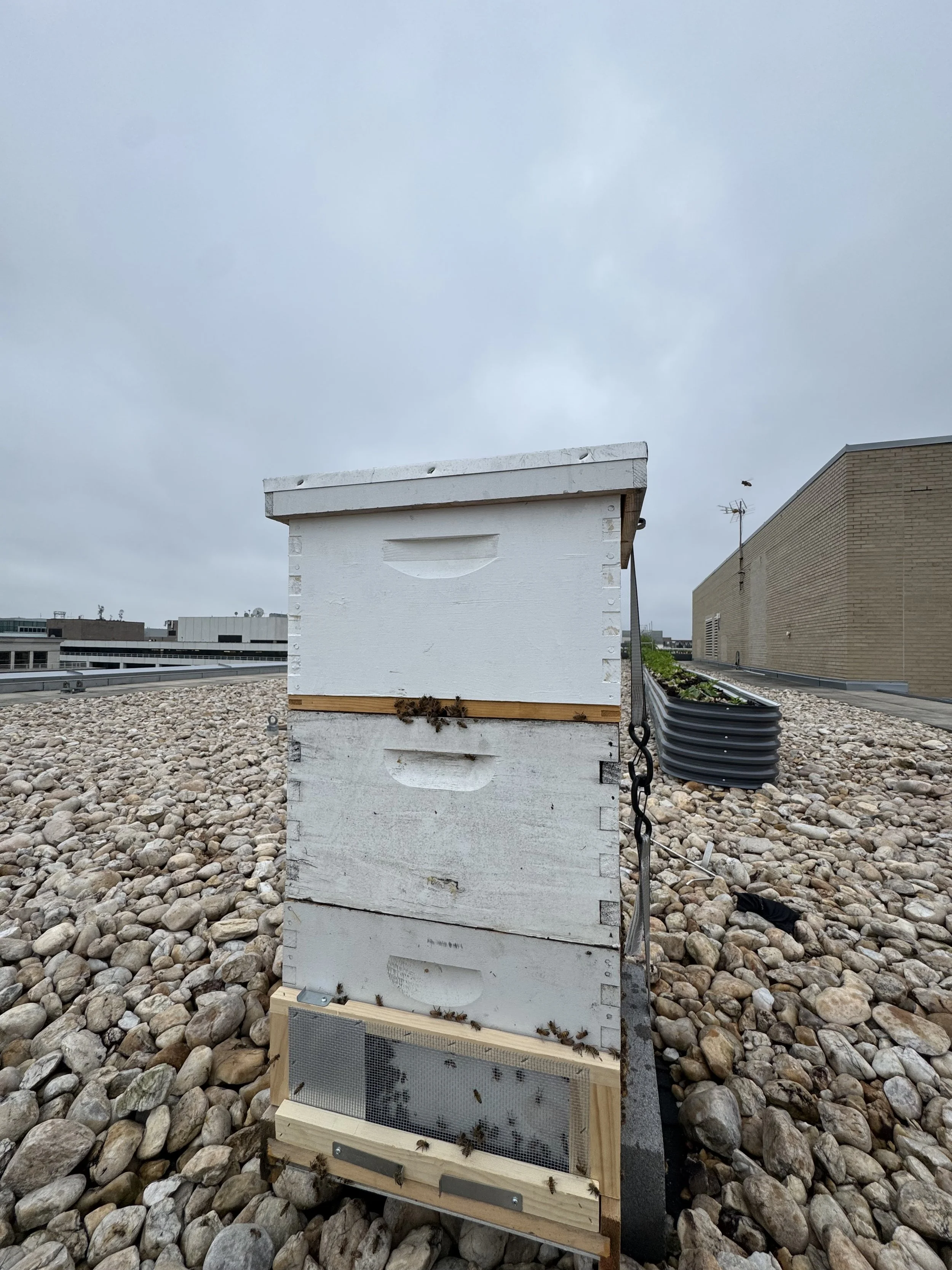 IMG_1133 - James Sleigh.jpeg