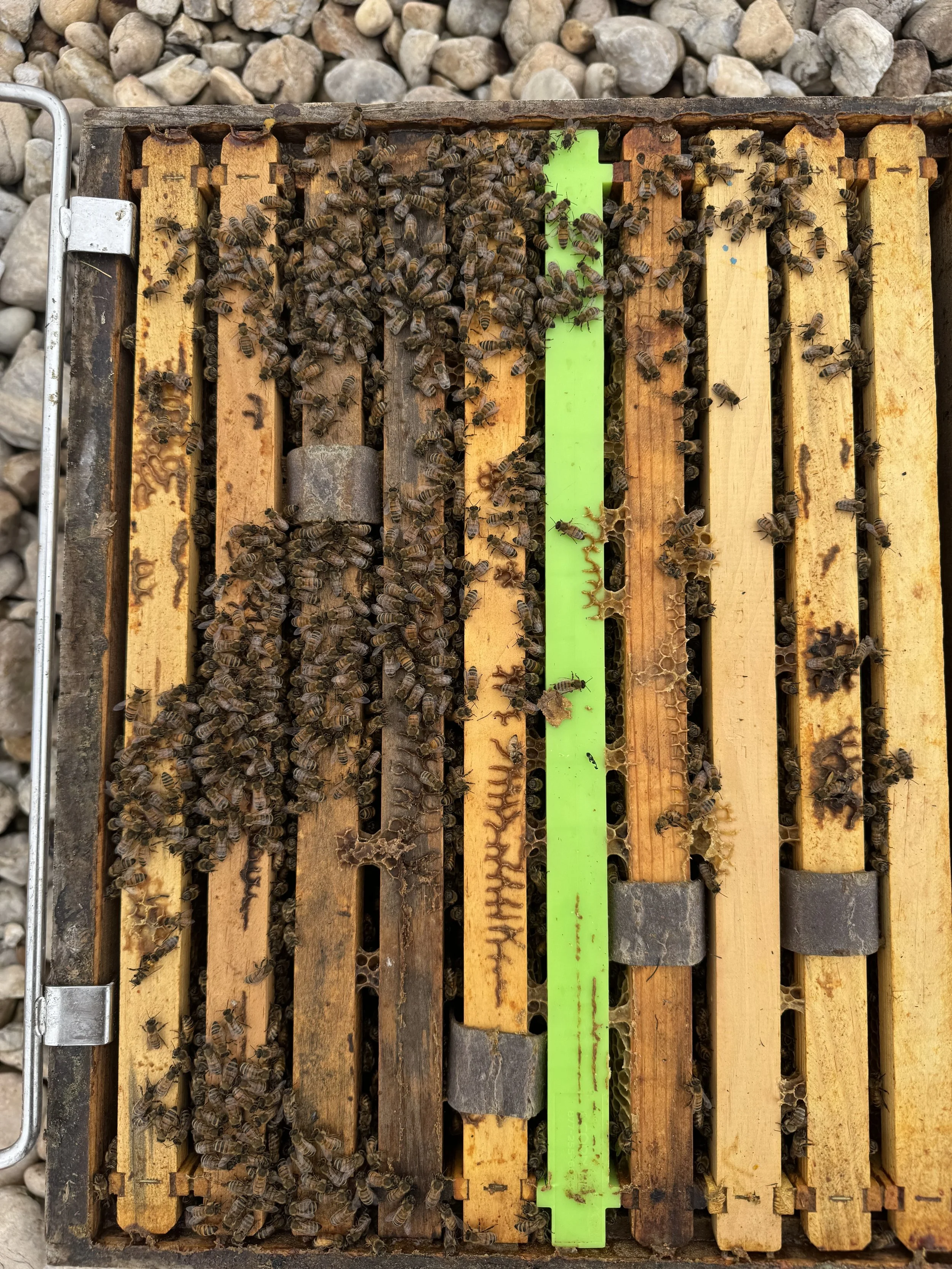 IMG_1130 - James Sleigh.jpeg