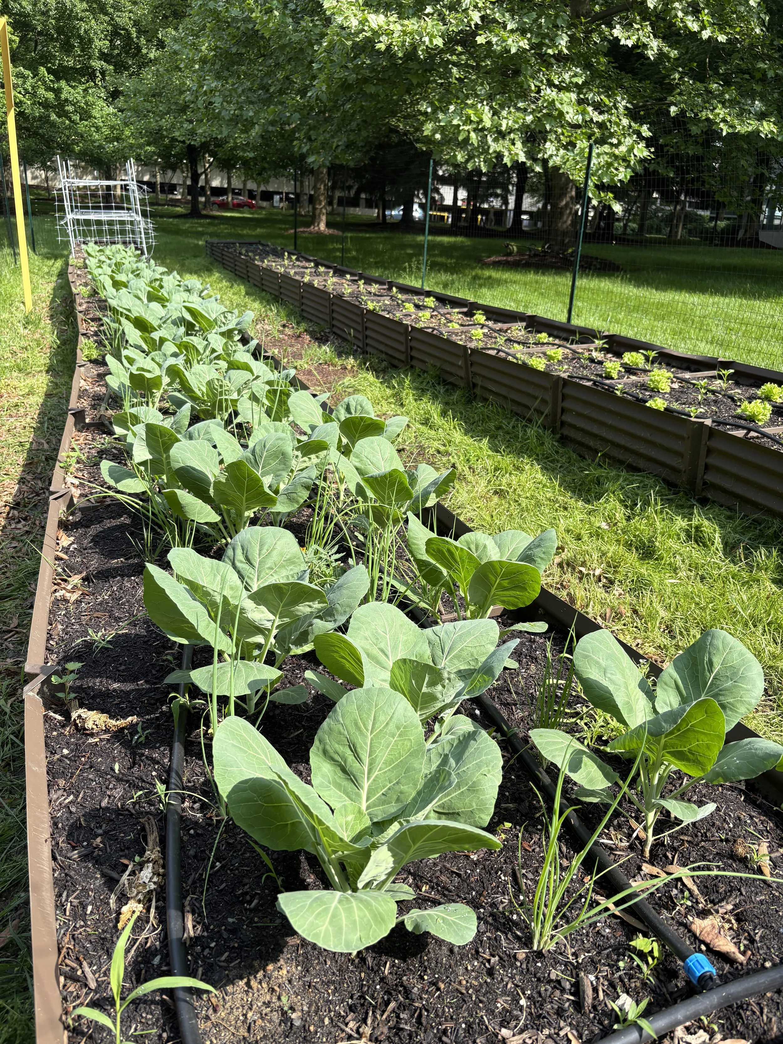 CG Farms - 5_14_2025 - 1.jpeg