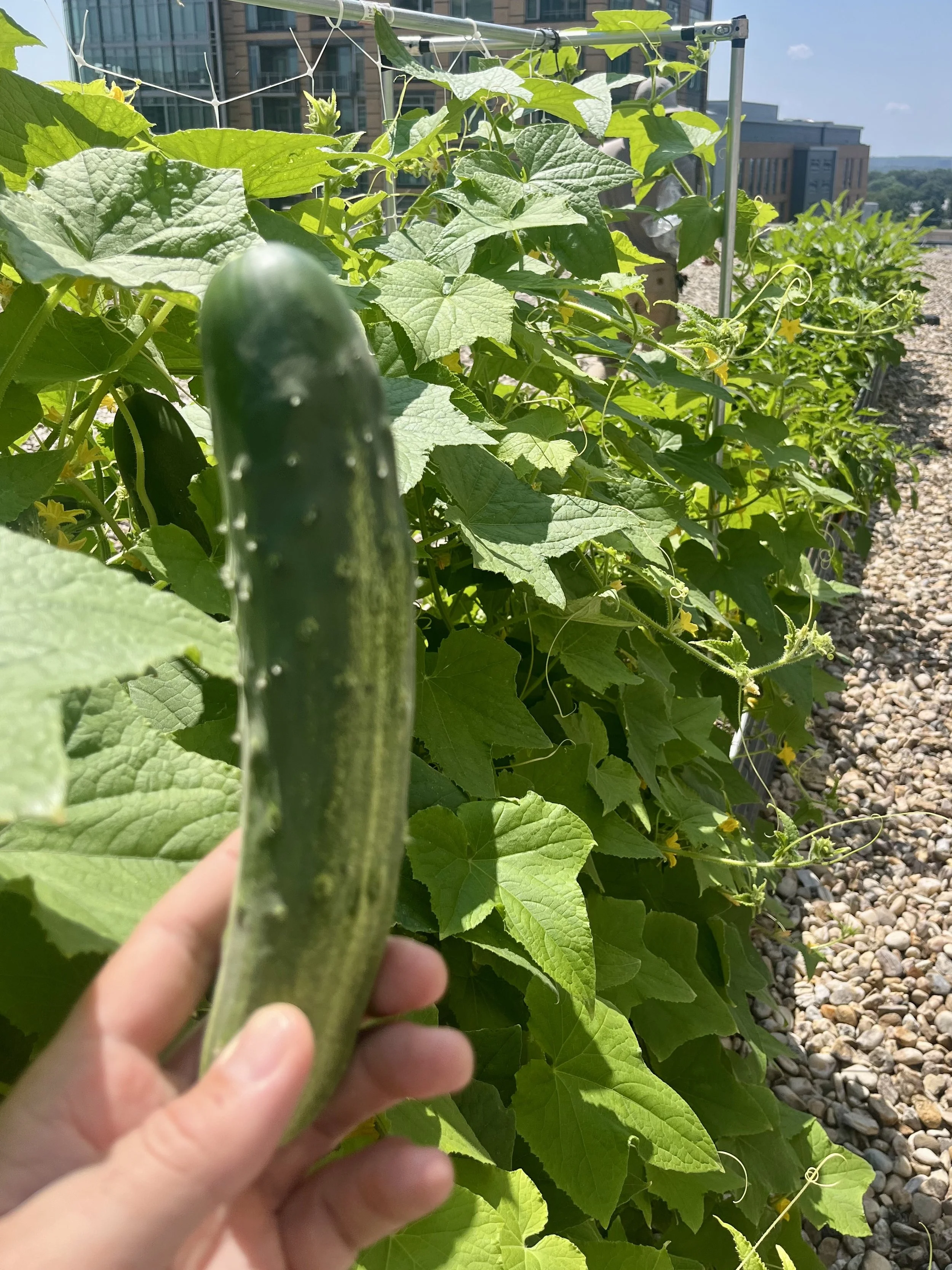 2 Liberty Center - 7_24_2025 - 3.jpeg