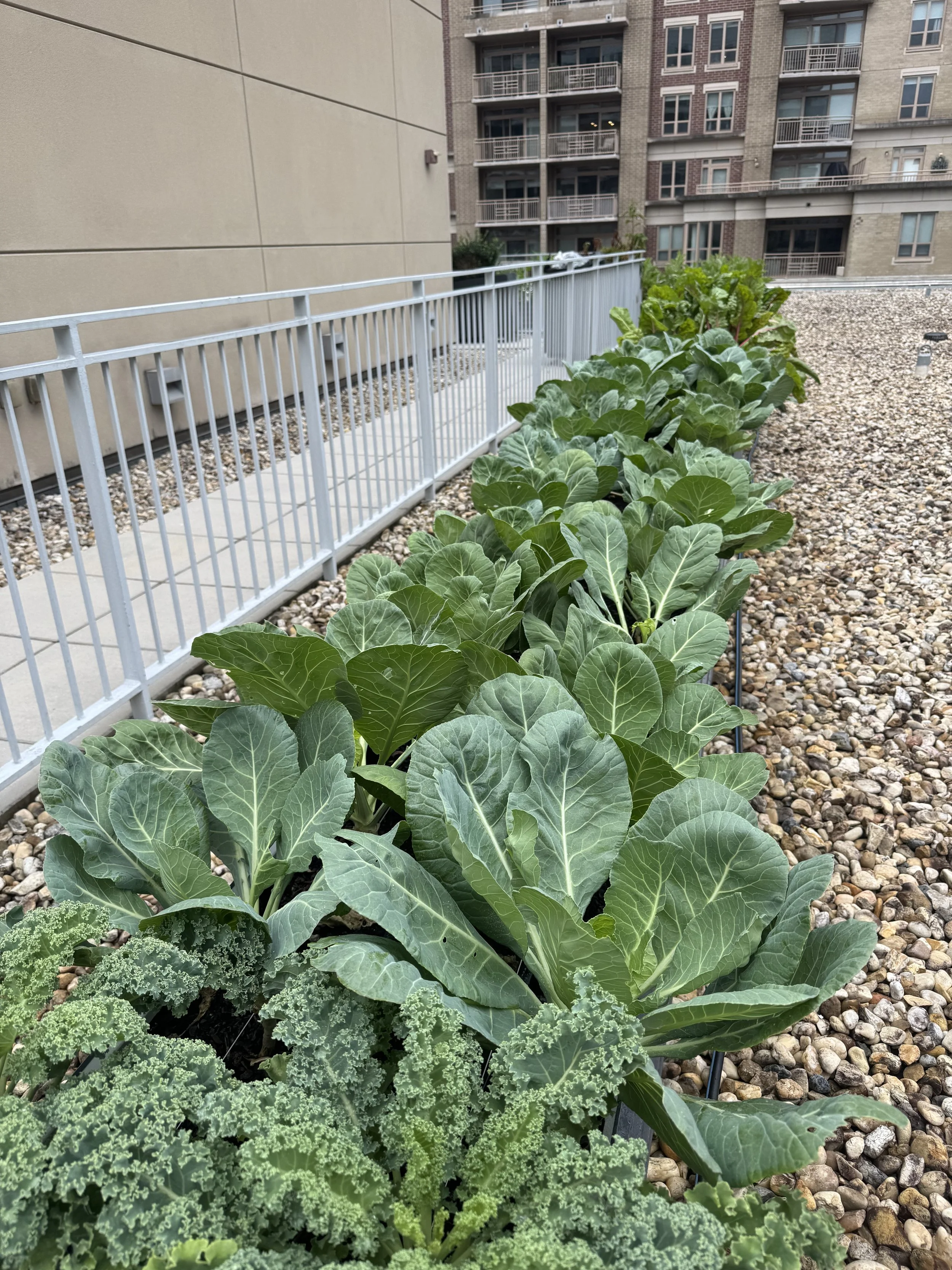 2 Liberty Center - 7_10_2025 - 3.jpeg