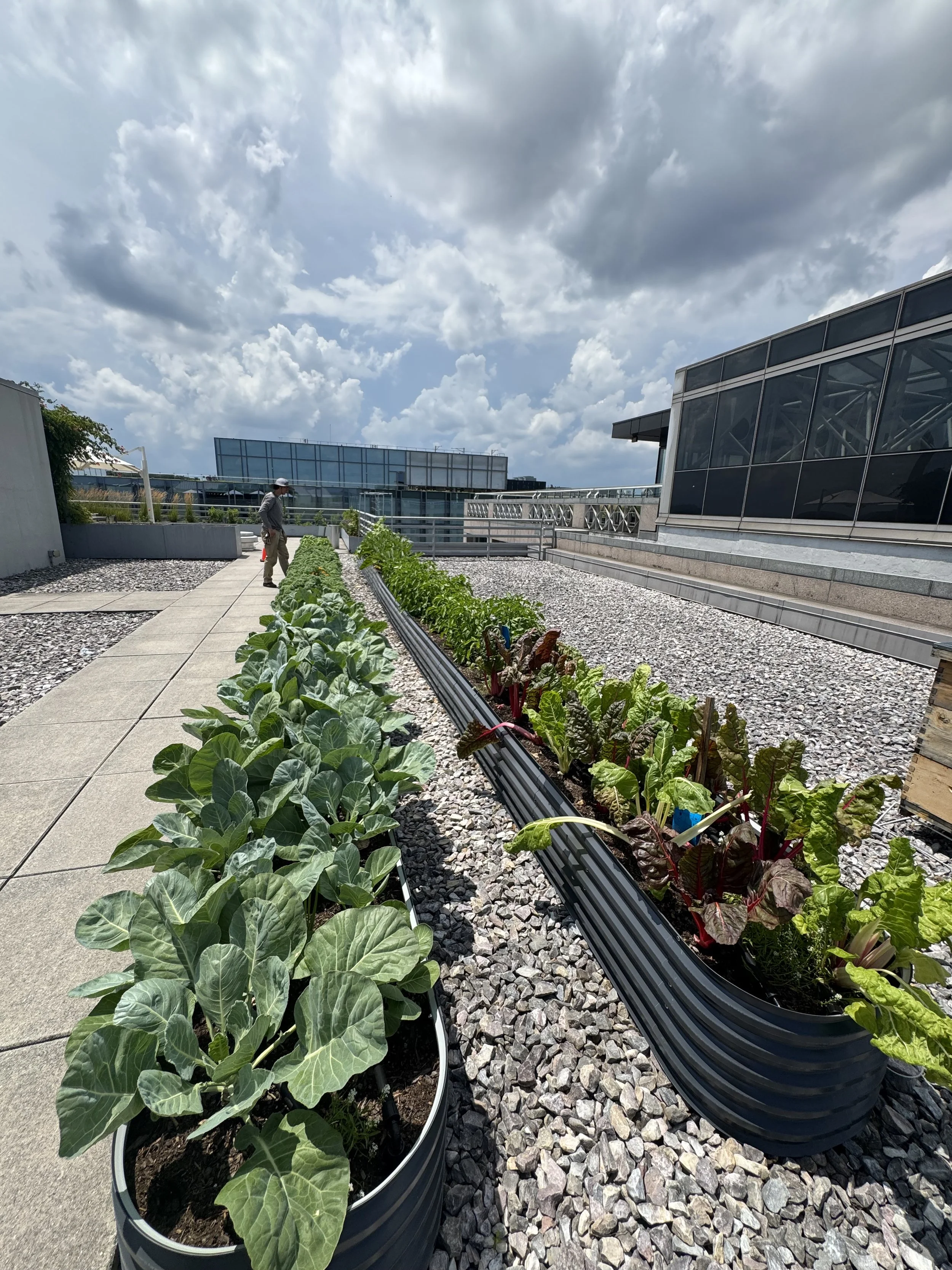 The Warner Building - 7_1_2025 - 4.jpeg