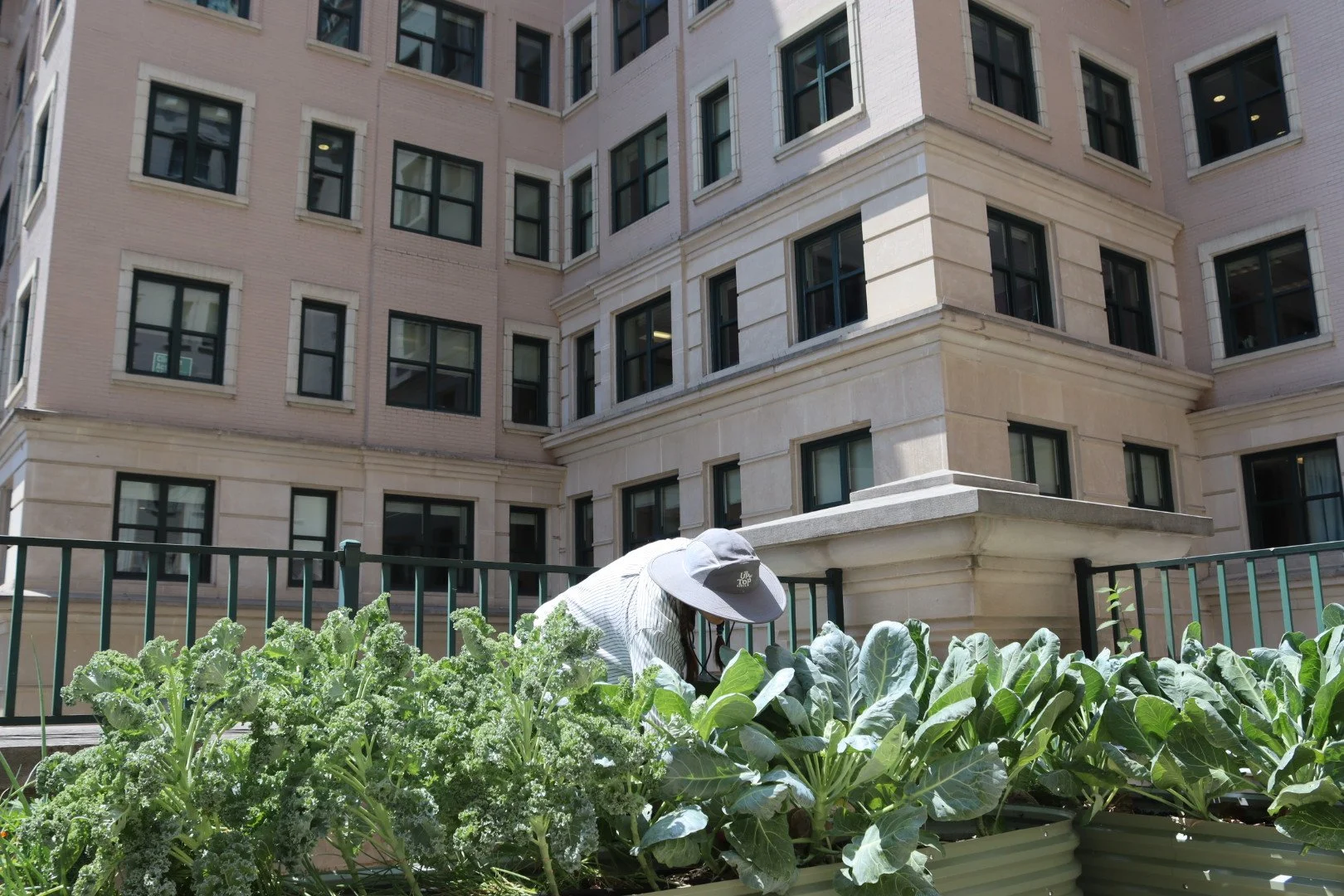 The Willard Garden 2025 Recap