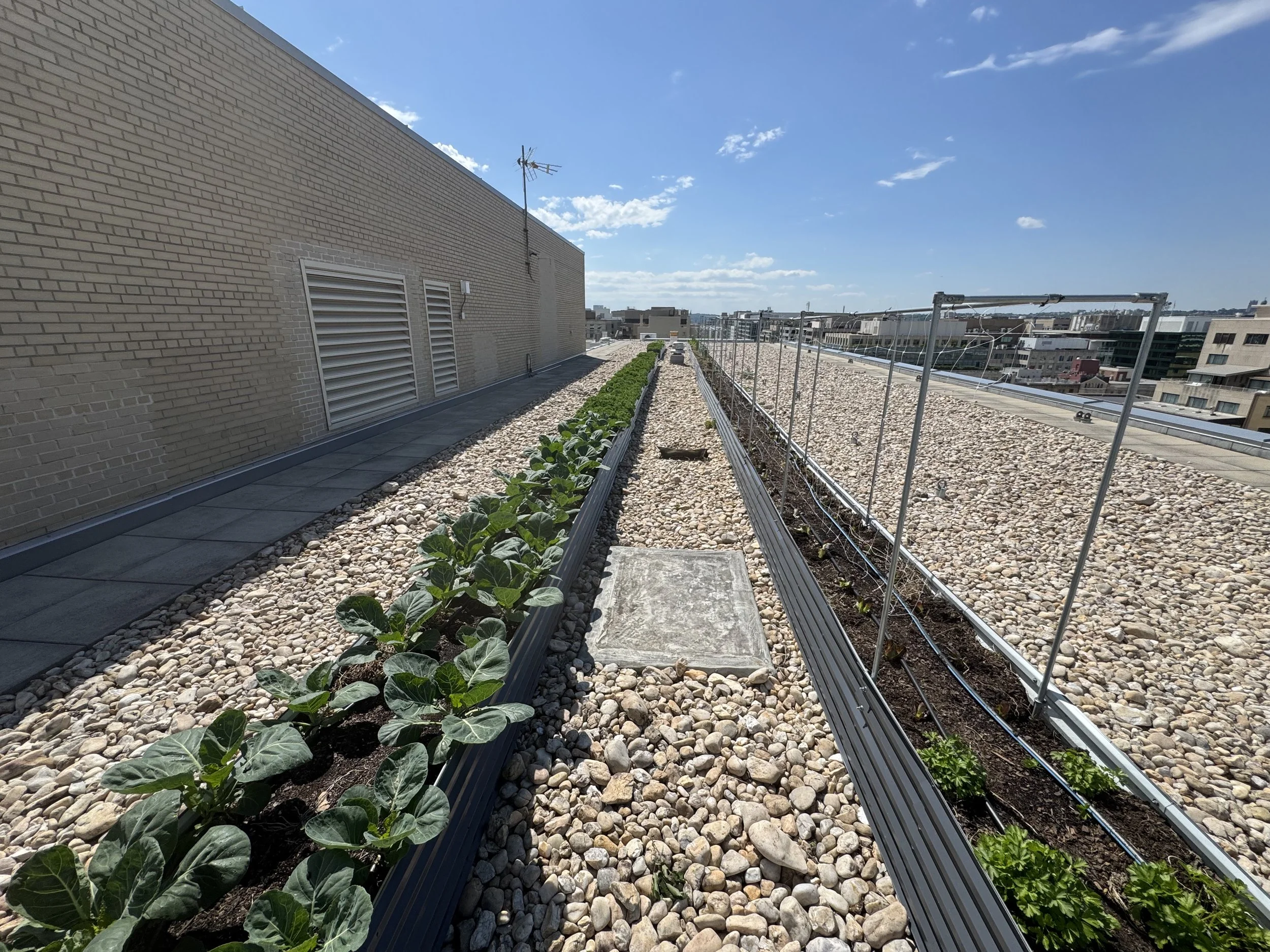 1500 K Garden Spring ‘26 Update