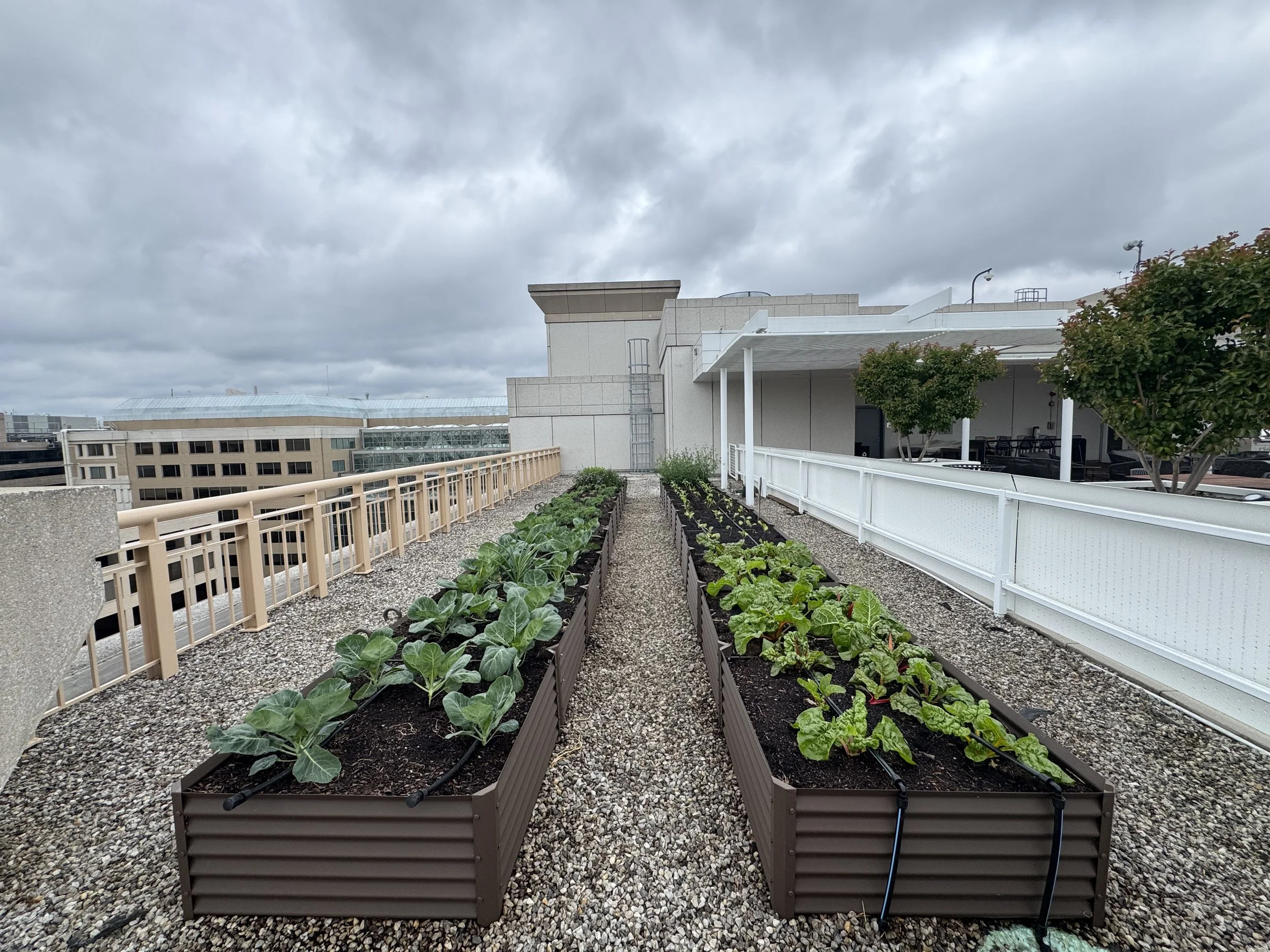 700 Thirteenth Garden Spring ‘26 Update
