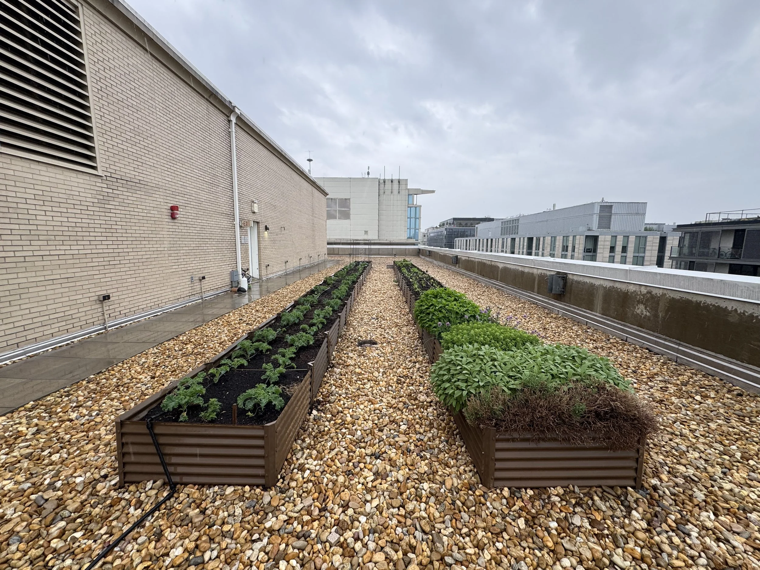 The Victor Garden Spring ‘26 Update