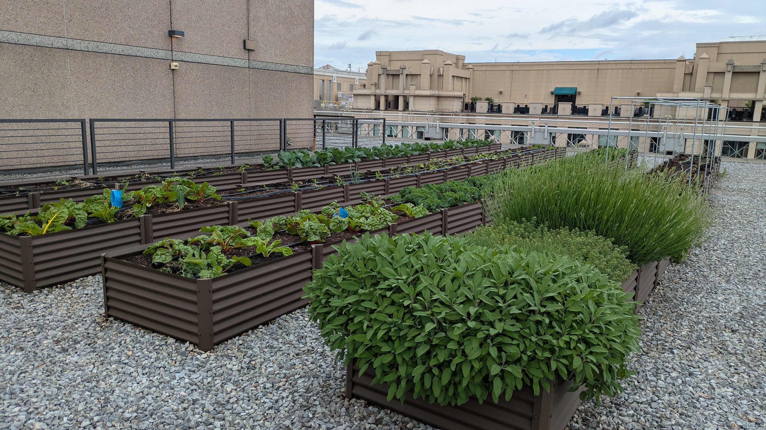 Columbia Square (555 13th St. NW)_05-06_5of5 (1).jpg