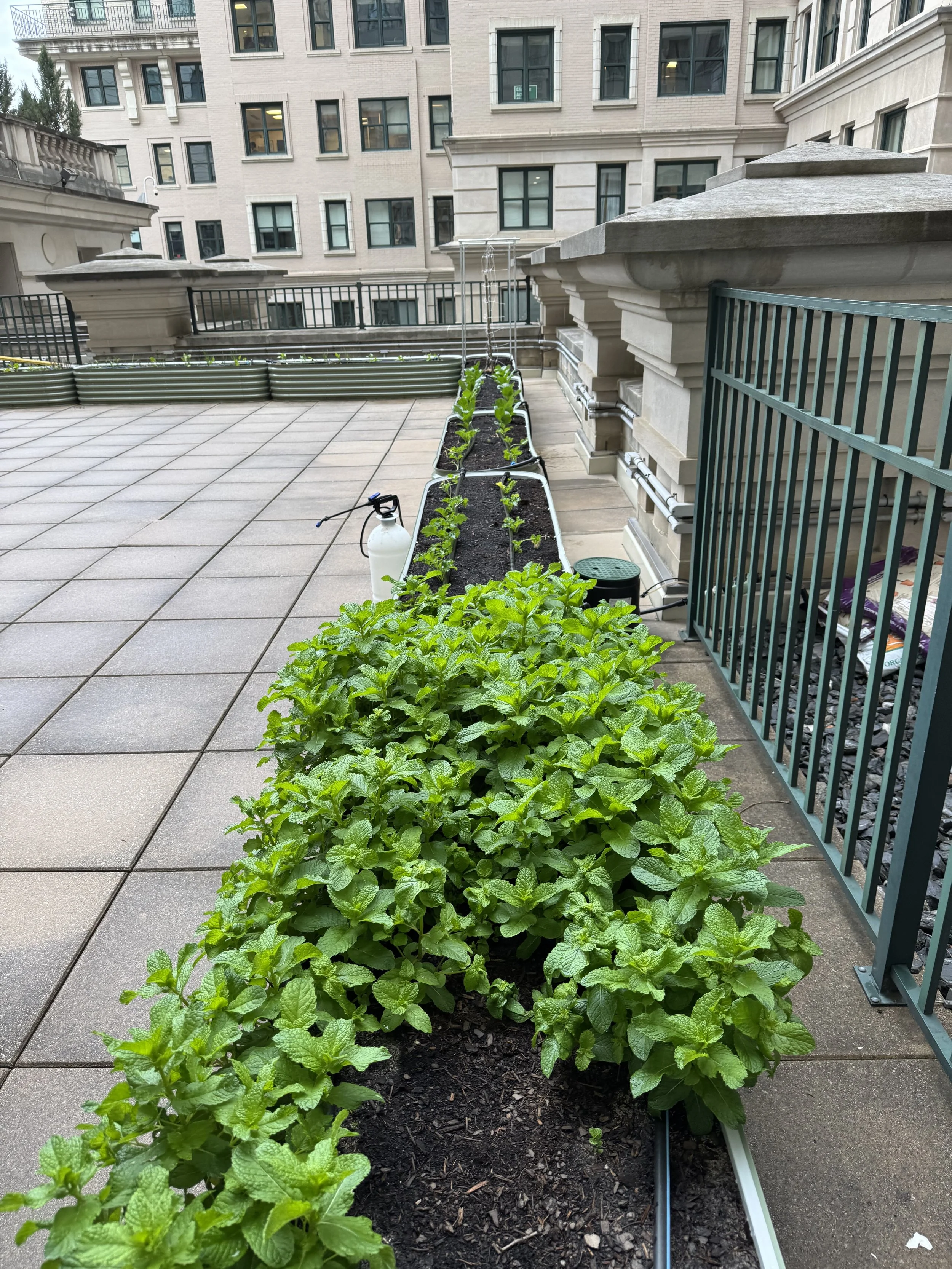 The Willard Center (1455 Pennsylvania Ave. NW)_04-28_1of4.jpeg