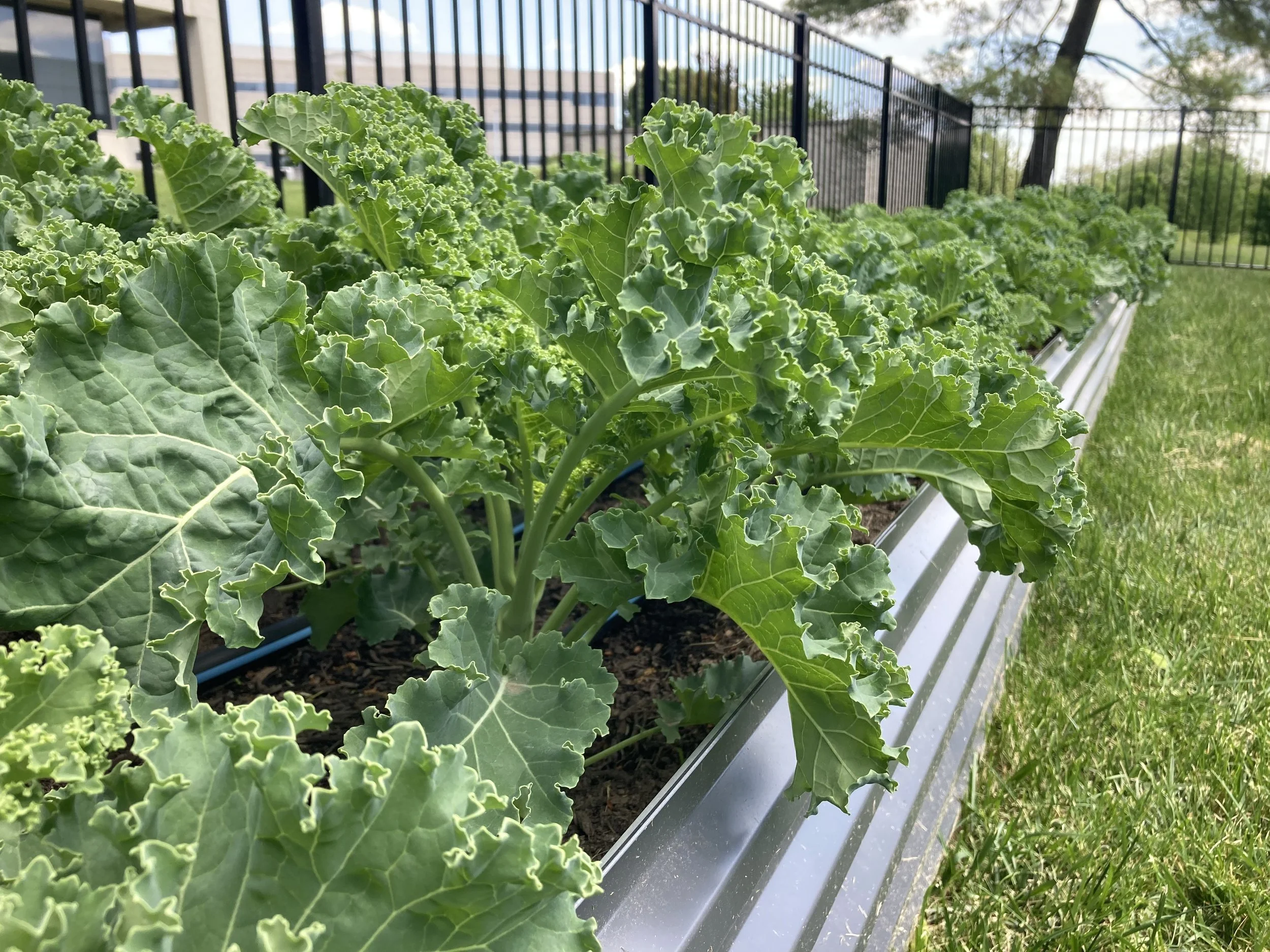 620 Freedom Business Center Garden Spring ‘26 Update