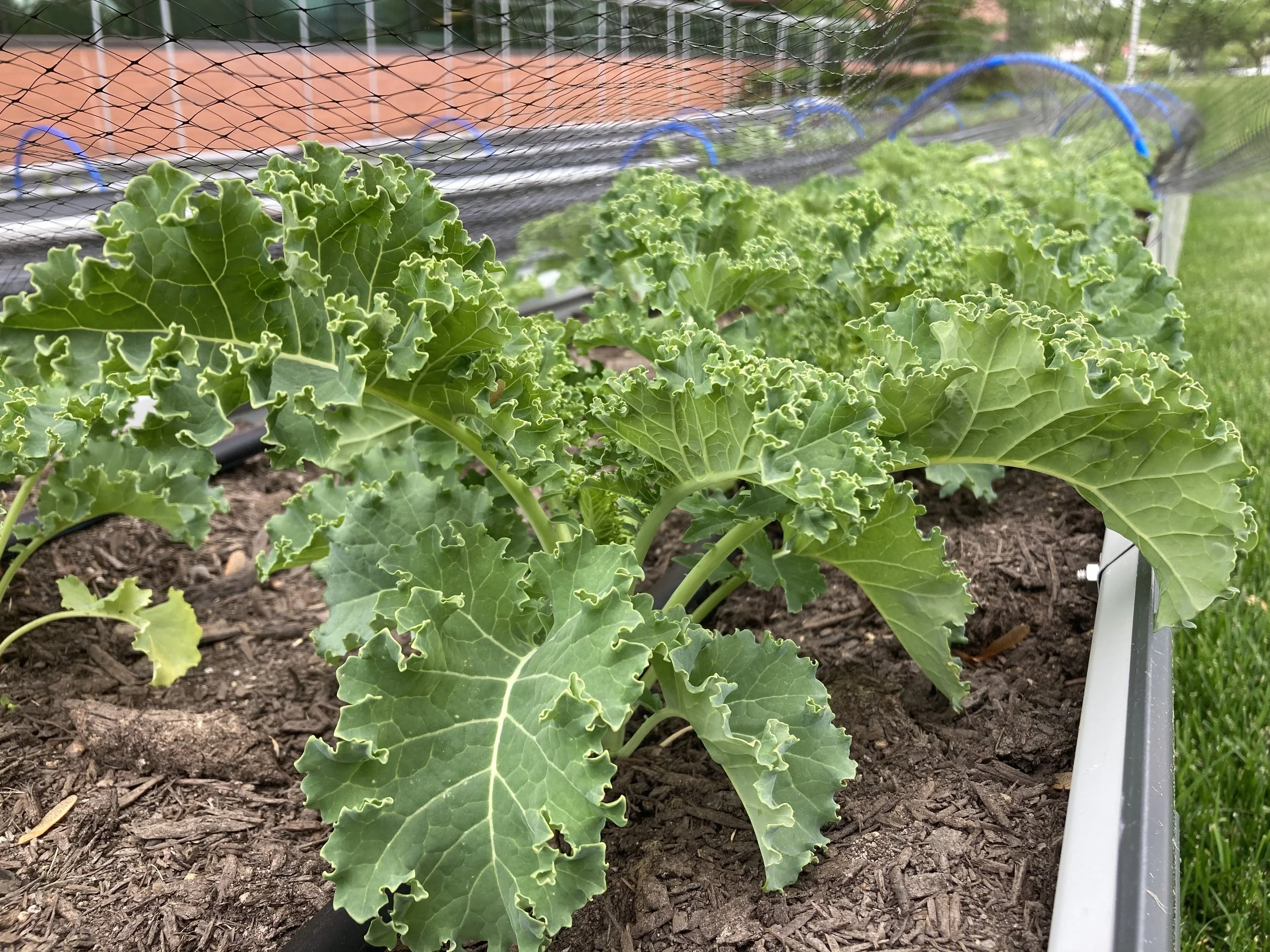 Radnor Financial Center Garden Spring ‘26 Update