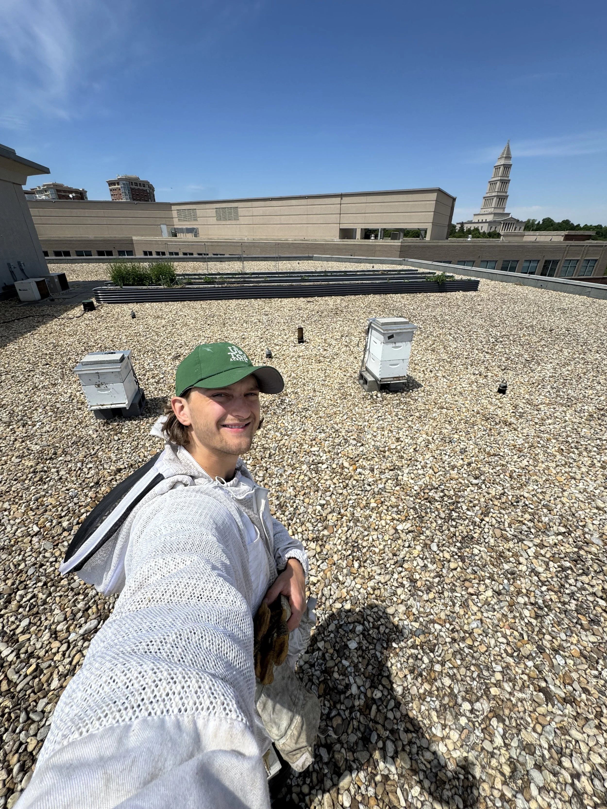 Carlyle Gateway Spring ‘26 Hive Update