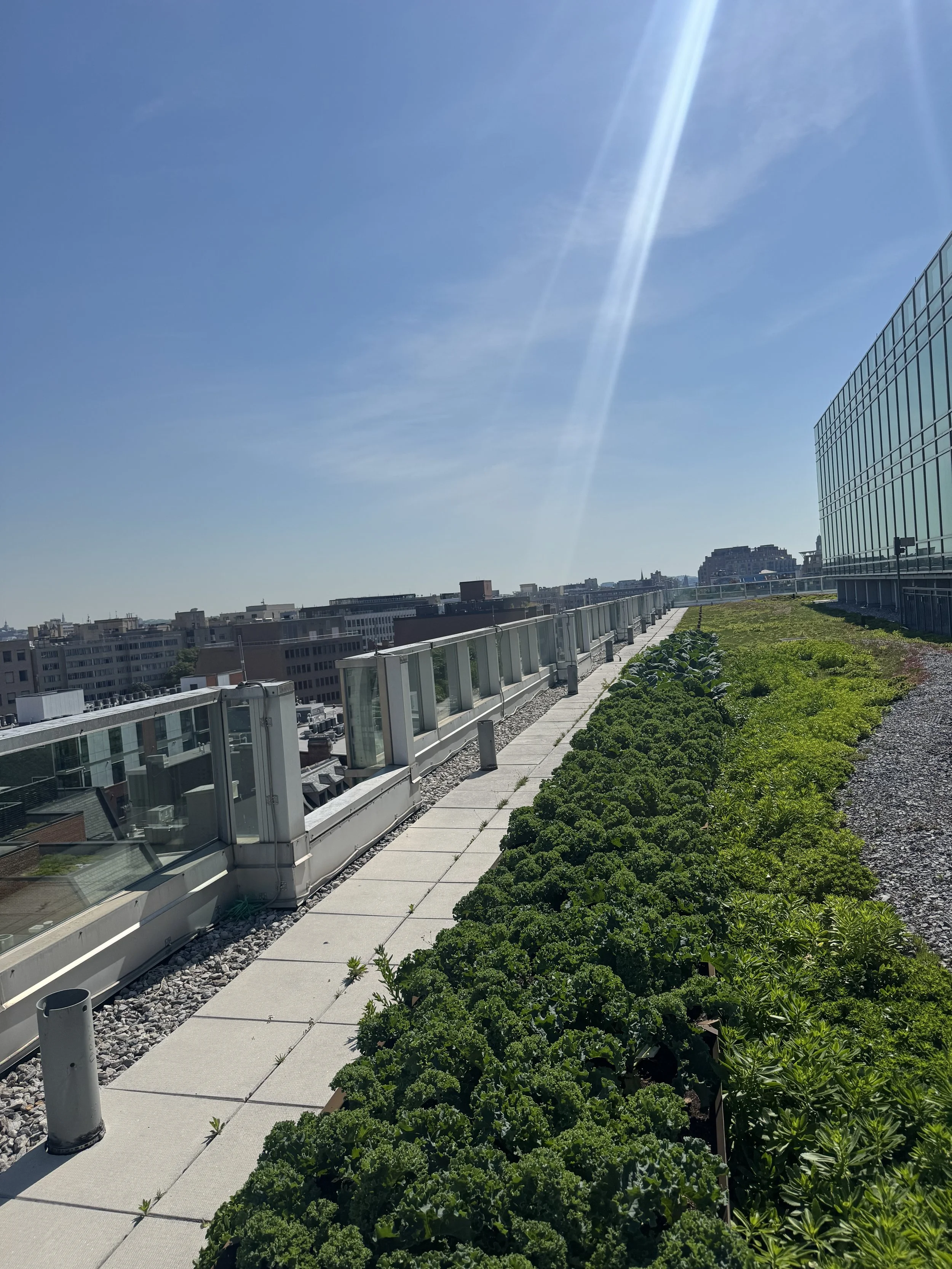 World Bank C Garden Spring ‘26 Update