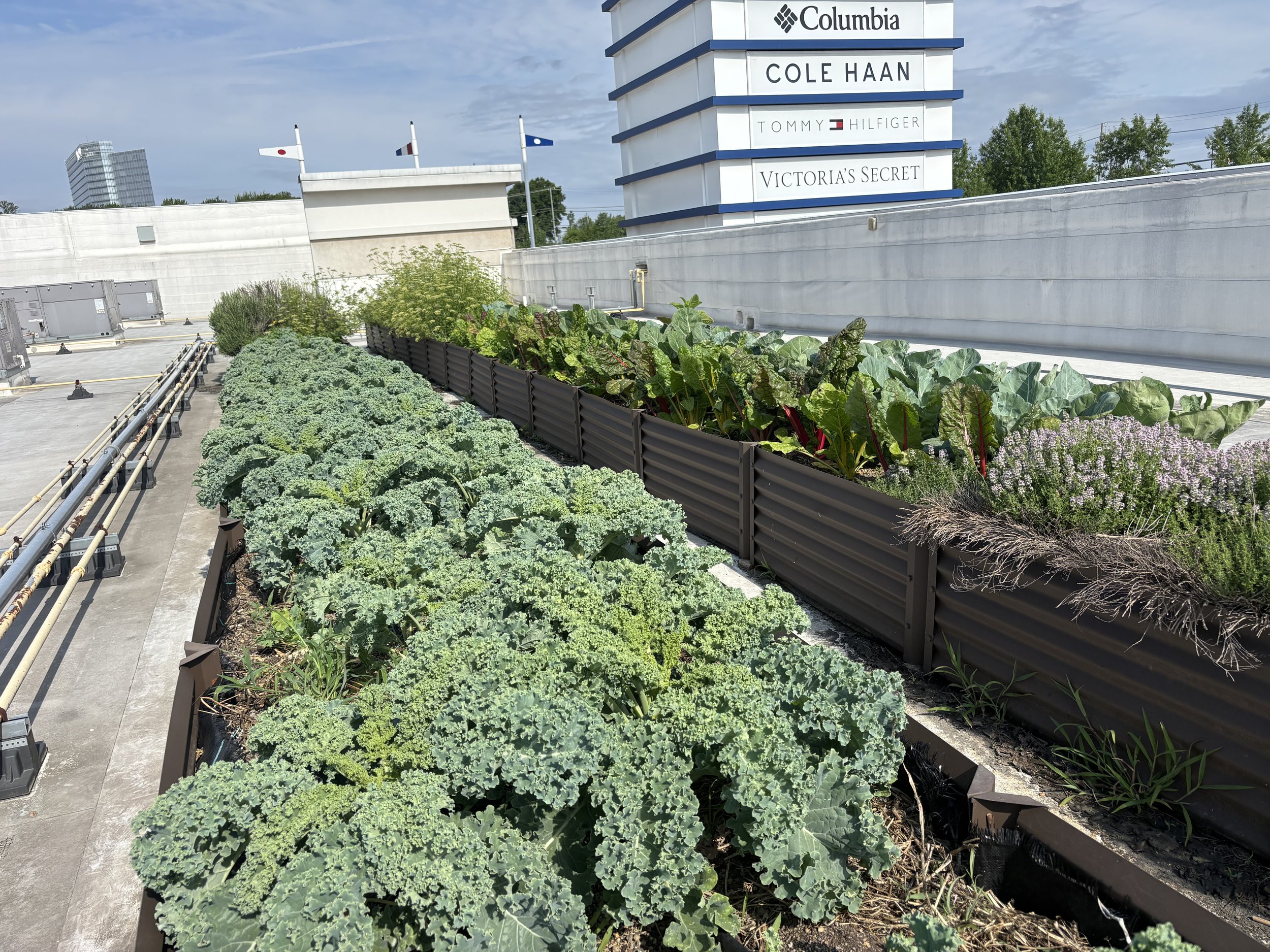Tanger Maryland Garden Spring ‘26 Update