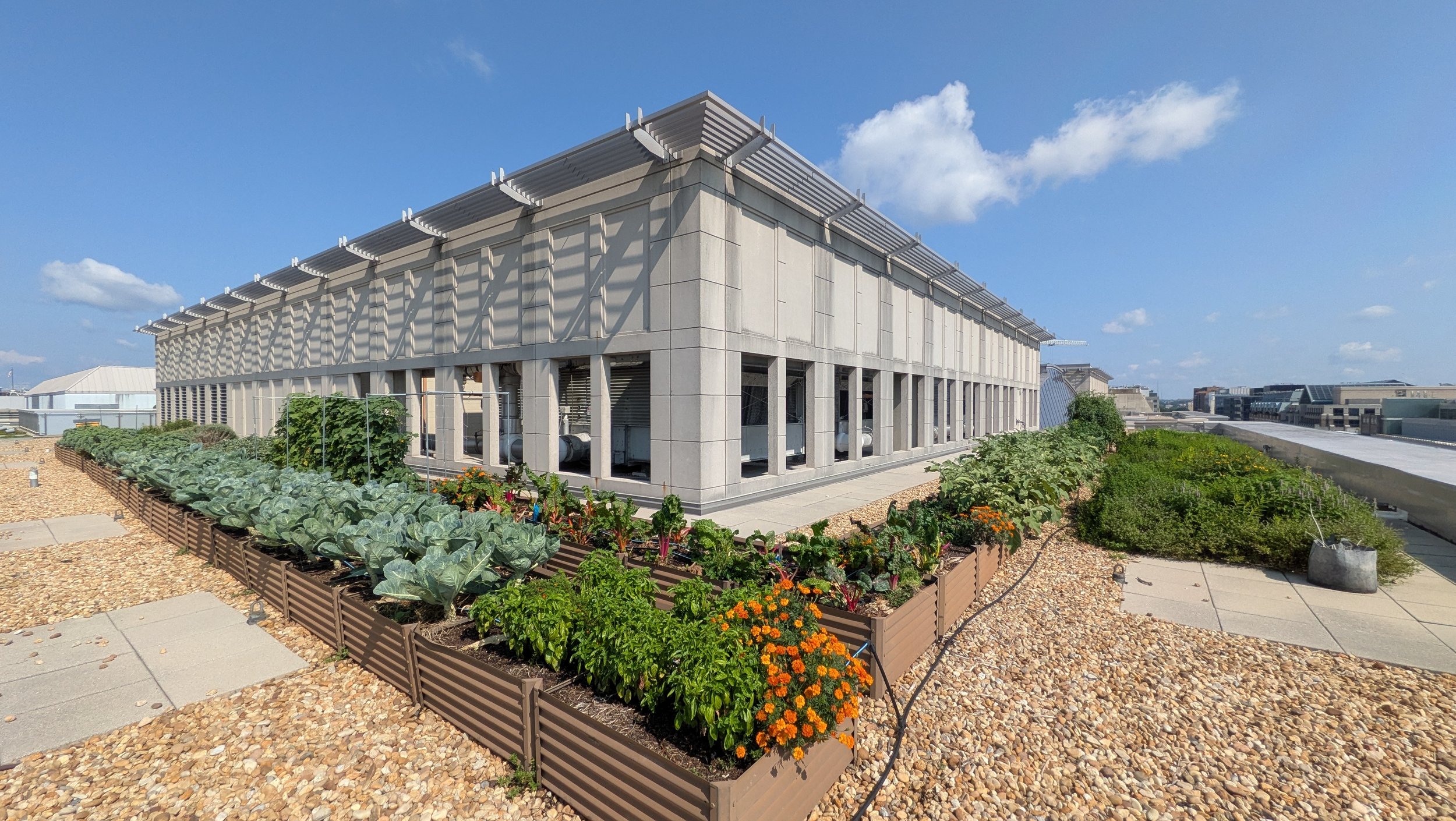 District Center (555 12th St. NW)_07-29_6of7 (1).jpg
